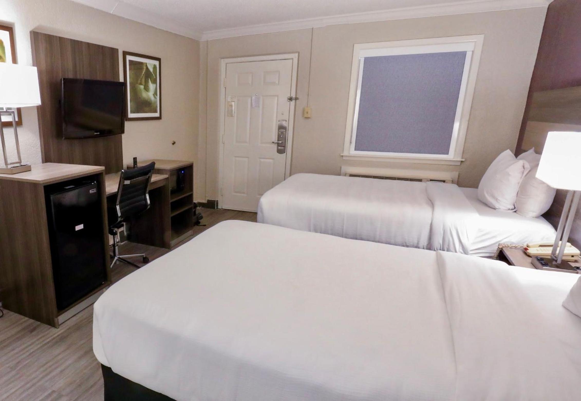 Room with Two Double Beds - Photo 3