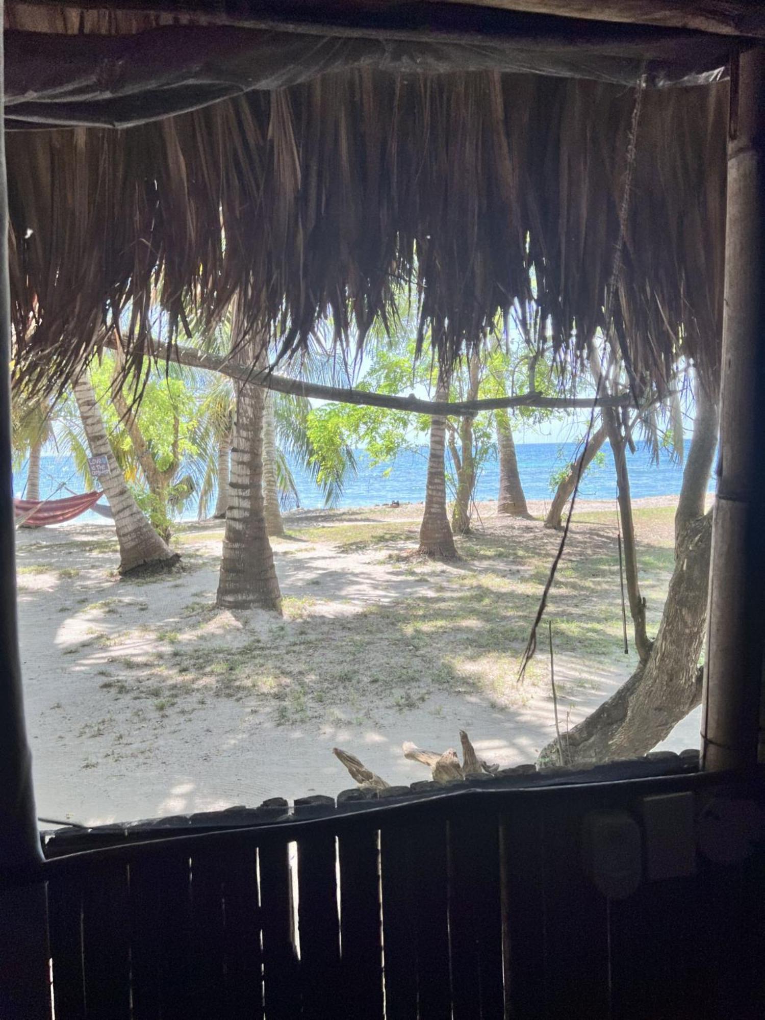Double Room with Sea View photo 3