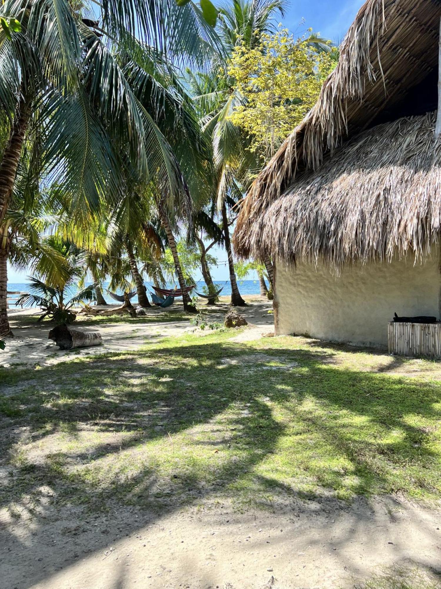 Double Room with Sea View photo 2