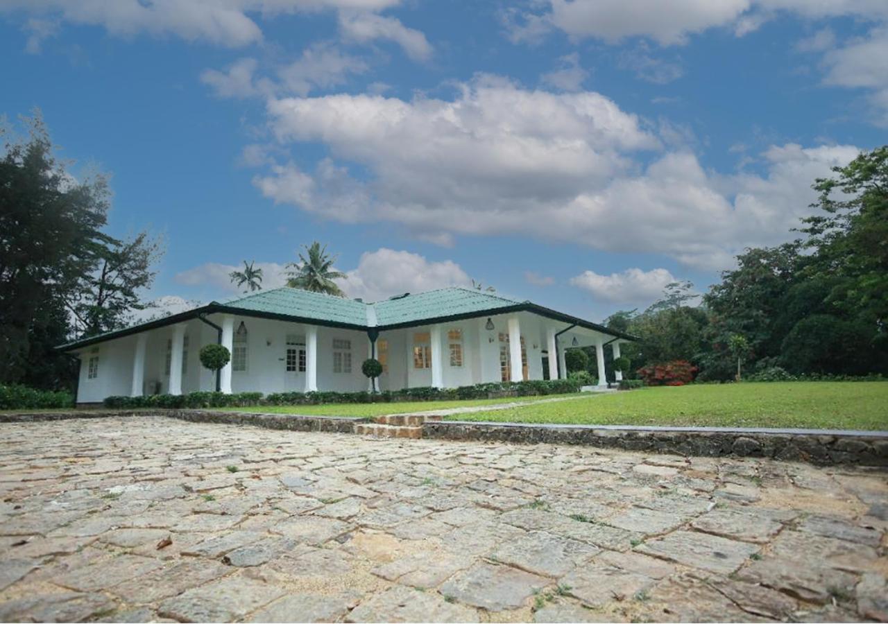 Family Bungalow photo 2