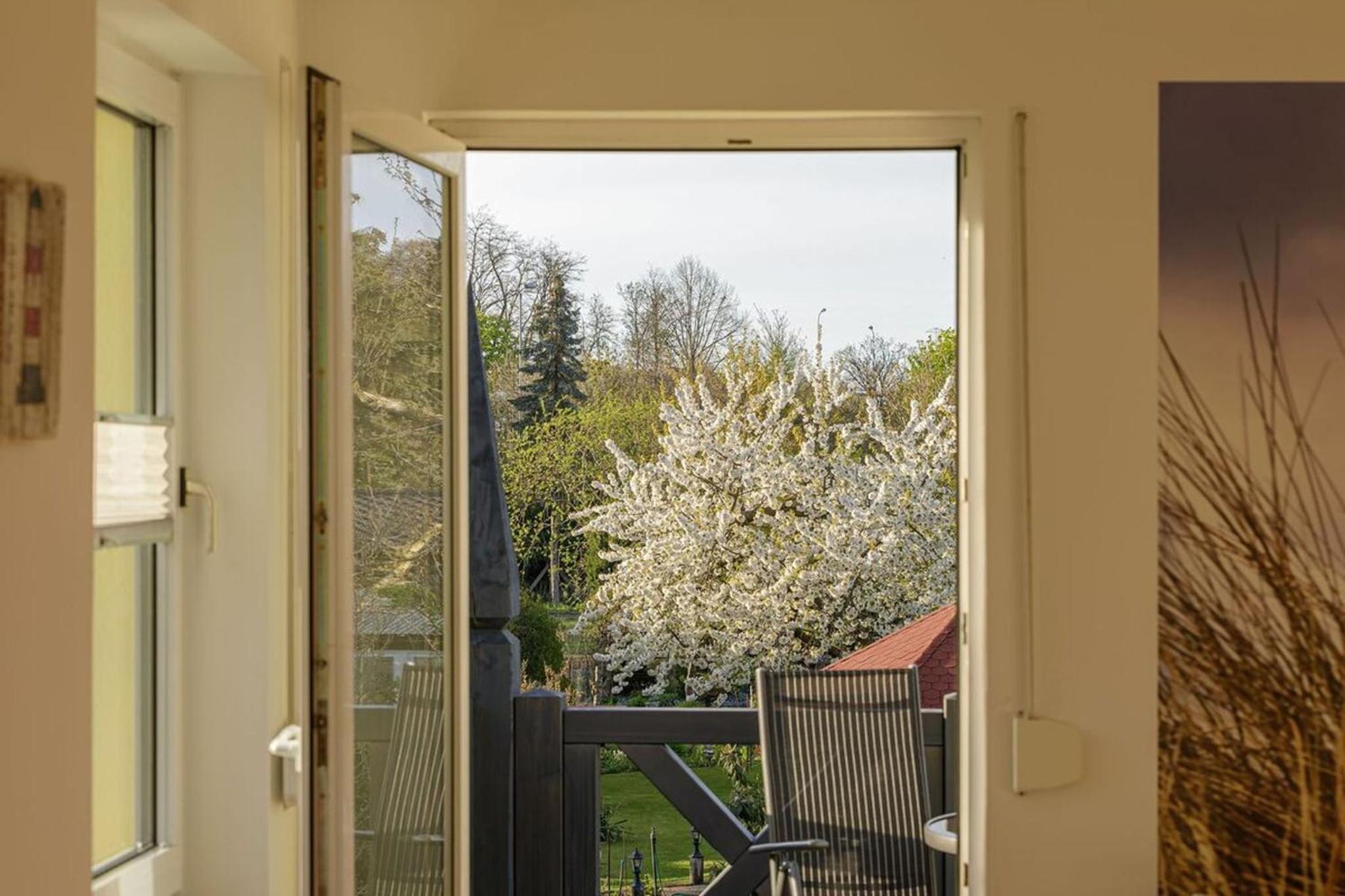 Apartment with Balcony photo 3