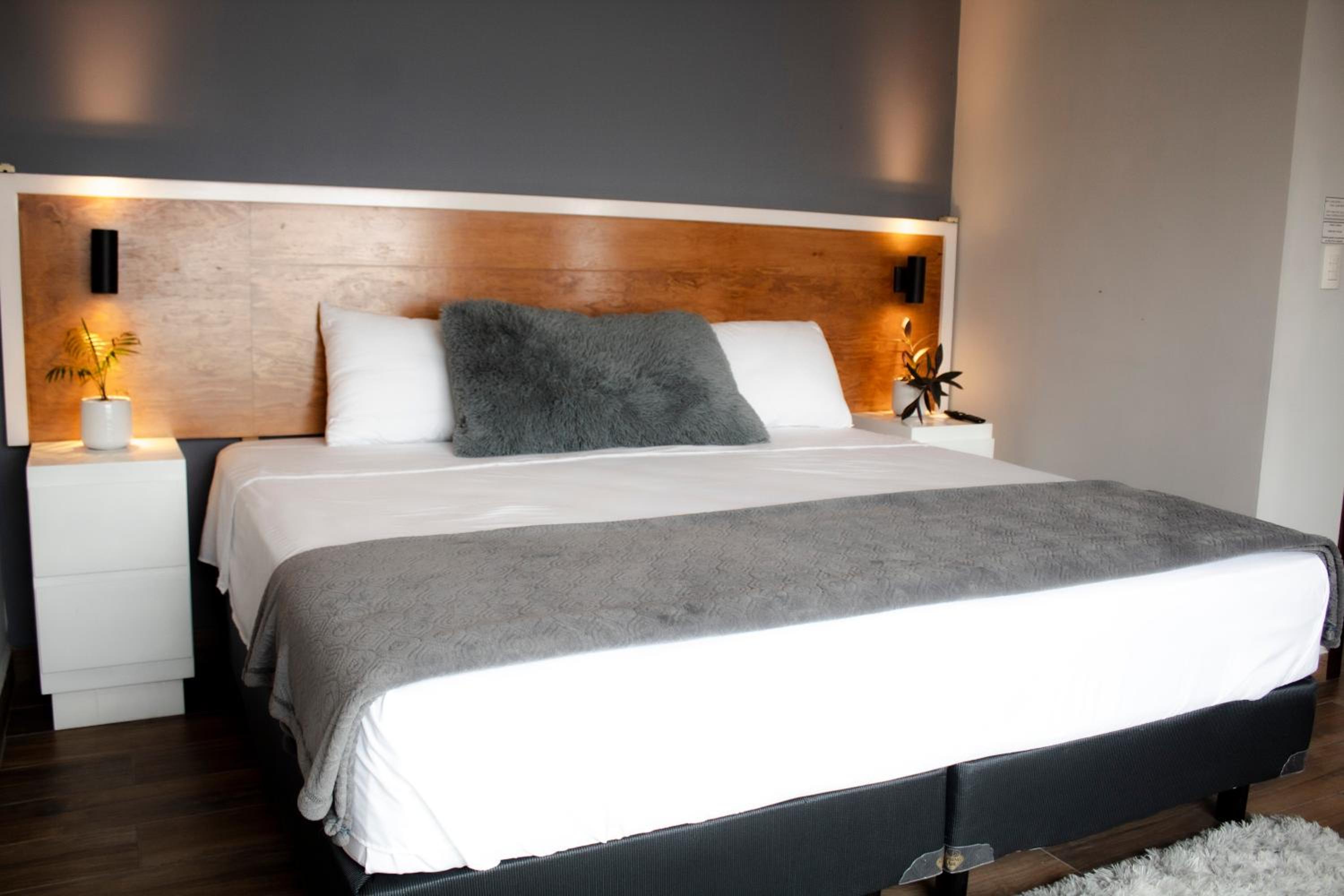 Suite - Photo 2