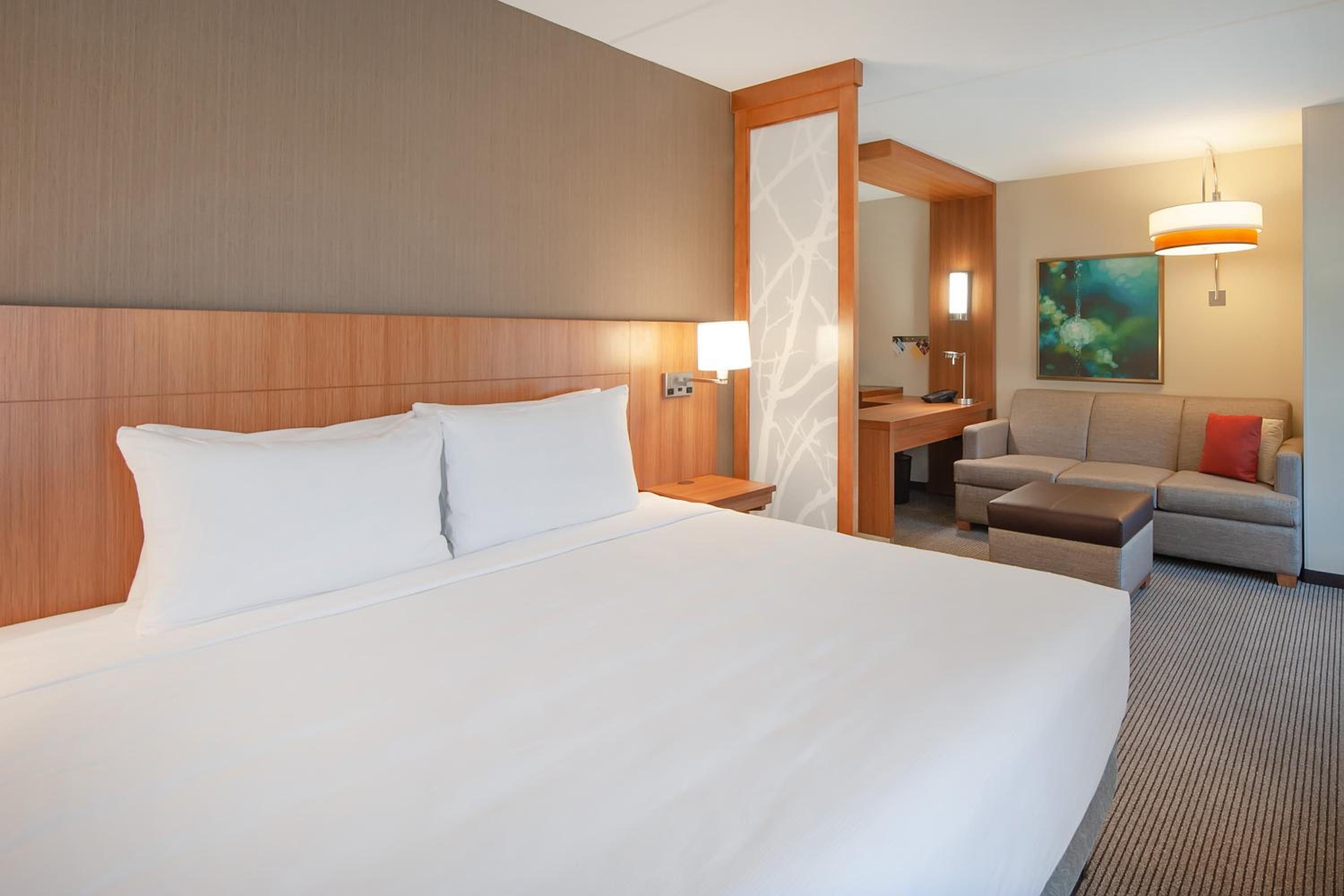 King Room with Sofa Bed photo 2