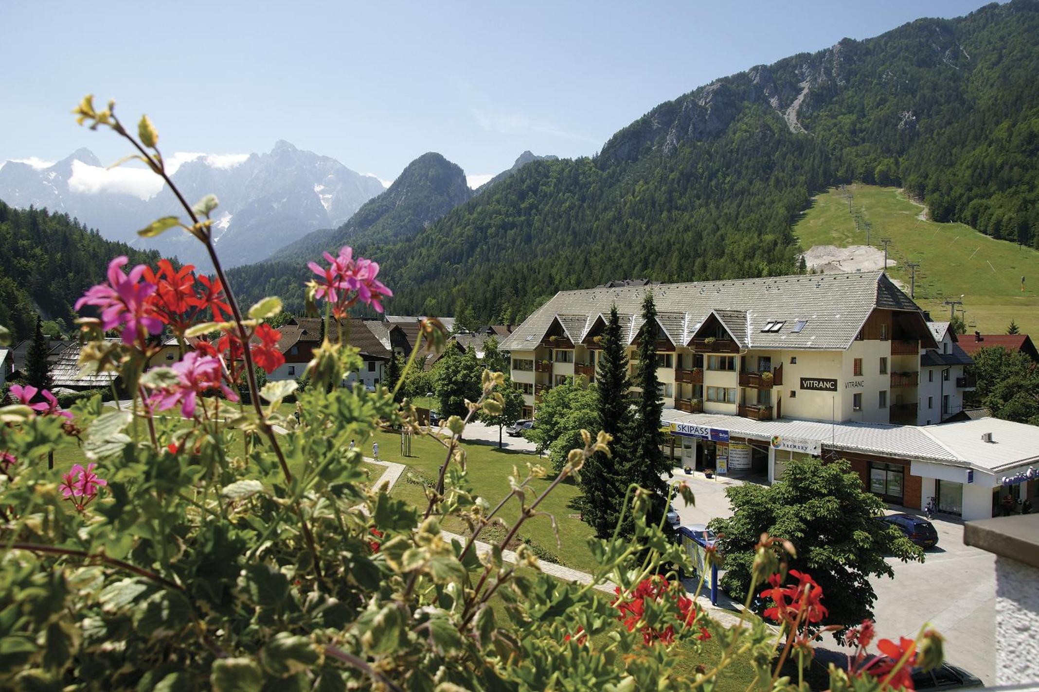 Special Offer - One-Bedroom Apartment (2-4 Adults) with Seasonal Package photo 3