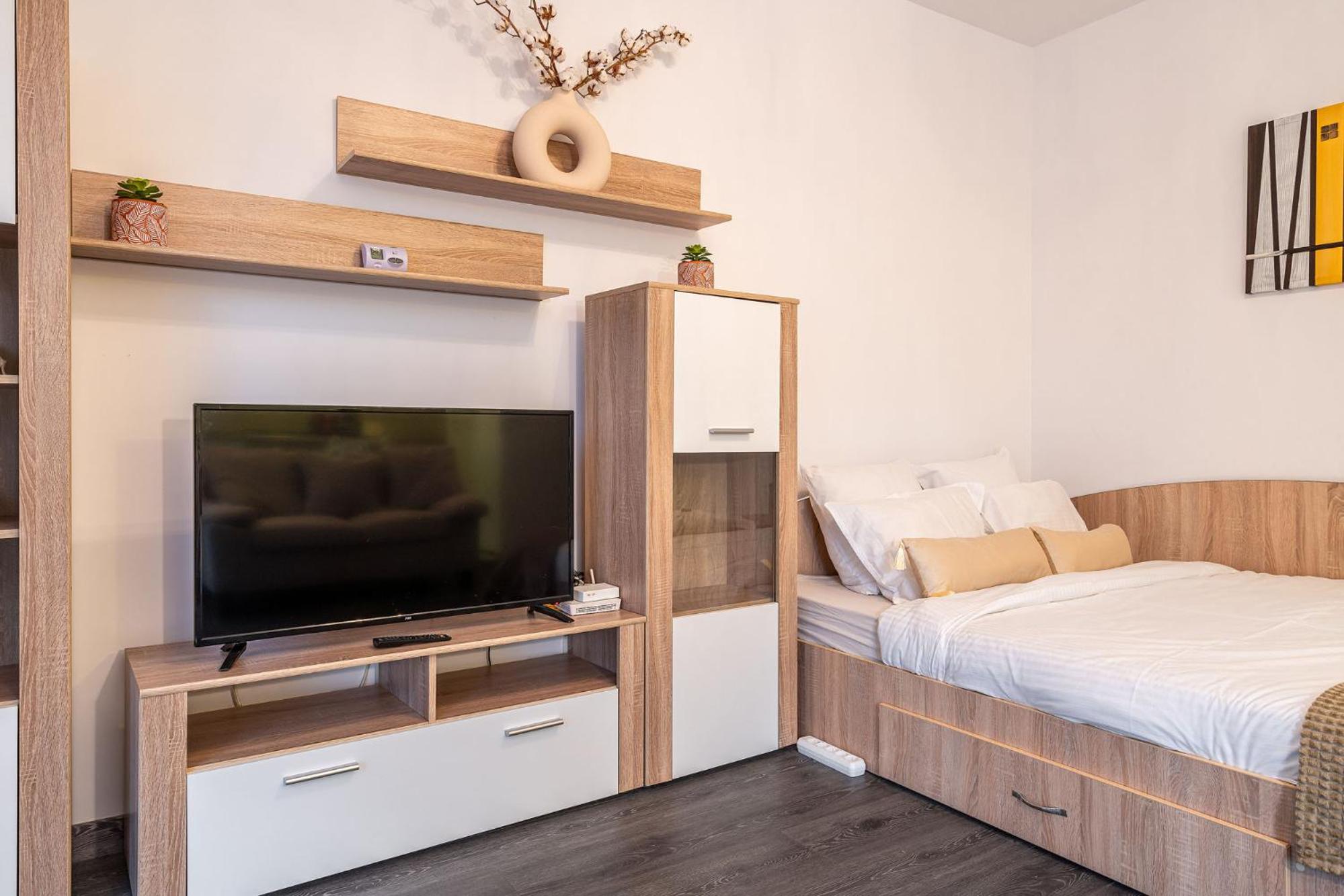 Studio Apartment photo 1