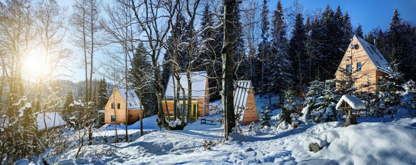 Three-Bedroom Chalet photo 3