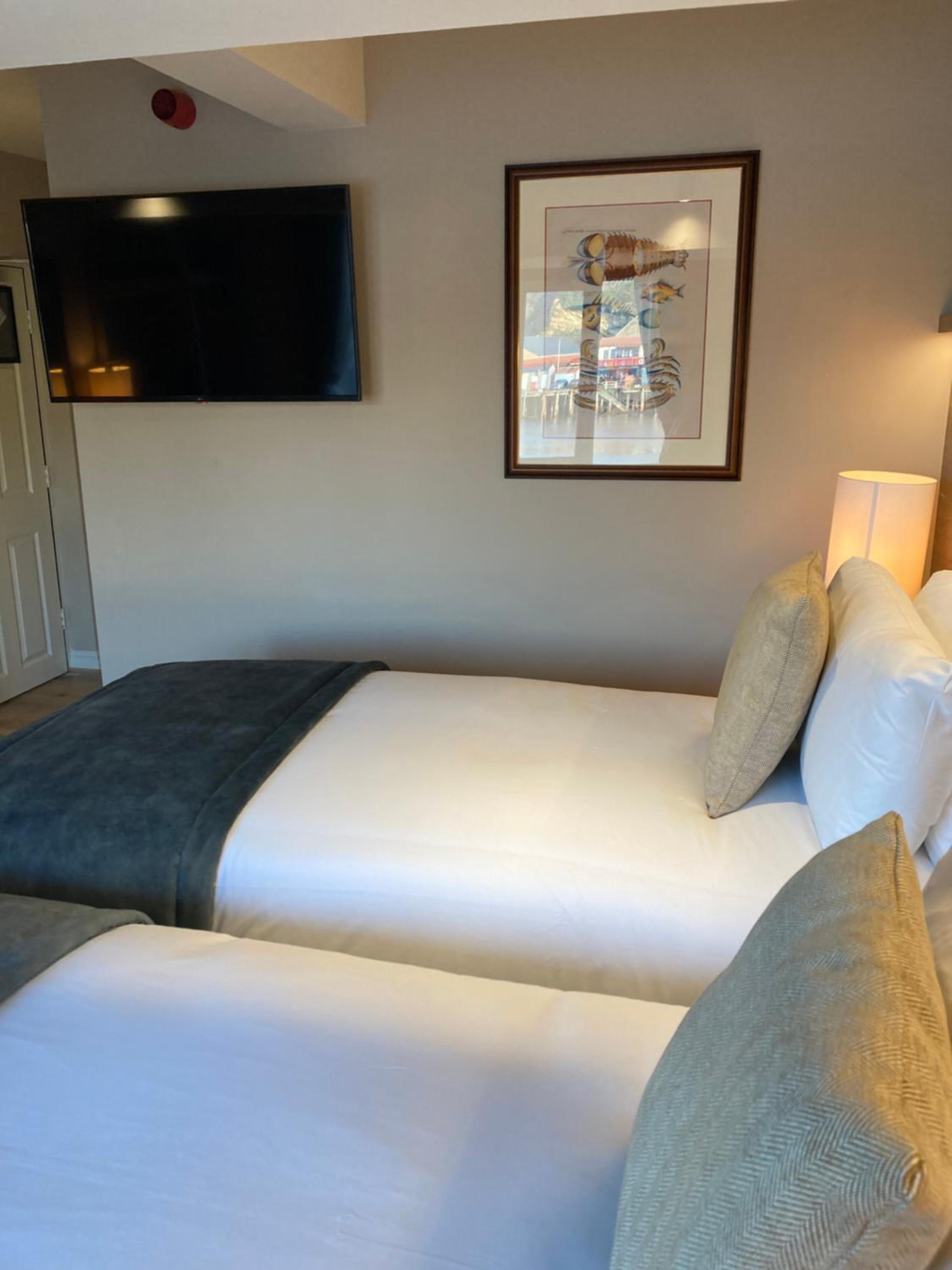 Twin Room photo 2
