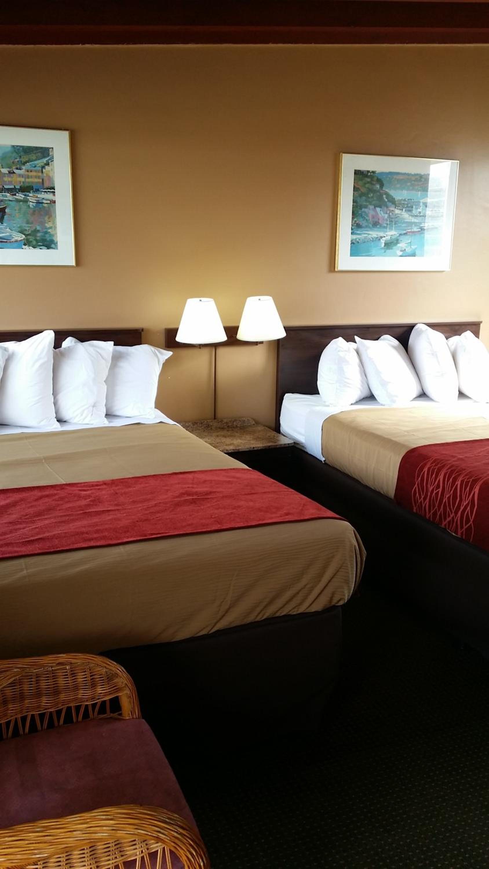 Double Room with Two Double Beds photo 3