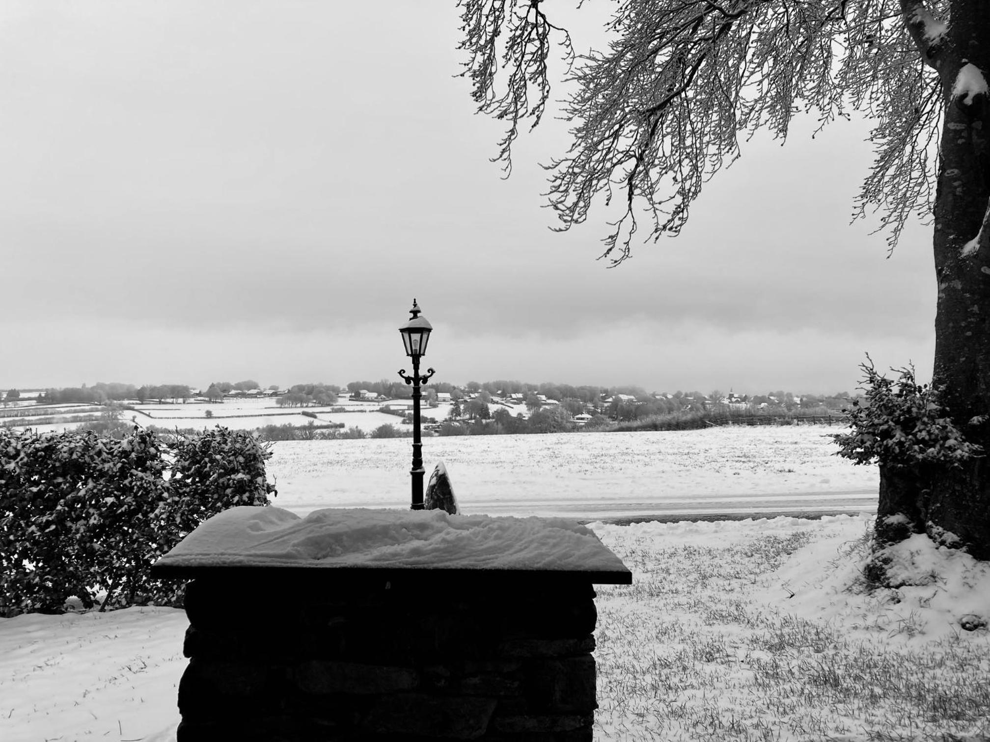 One-Bedroom Apartment - Photo 11