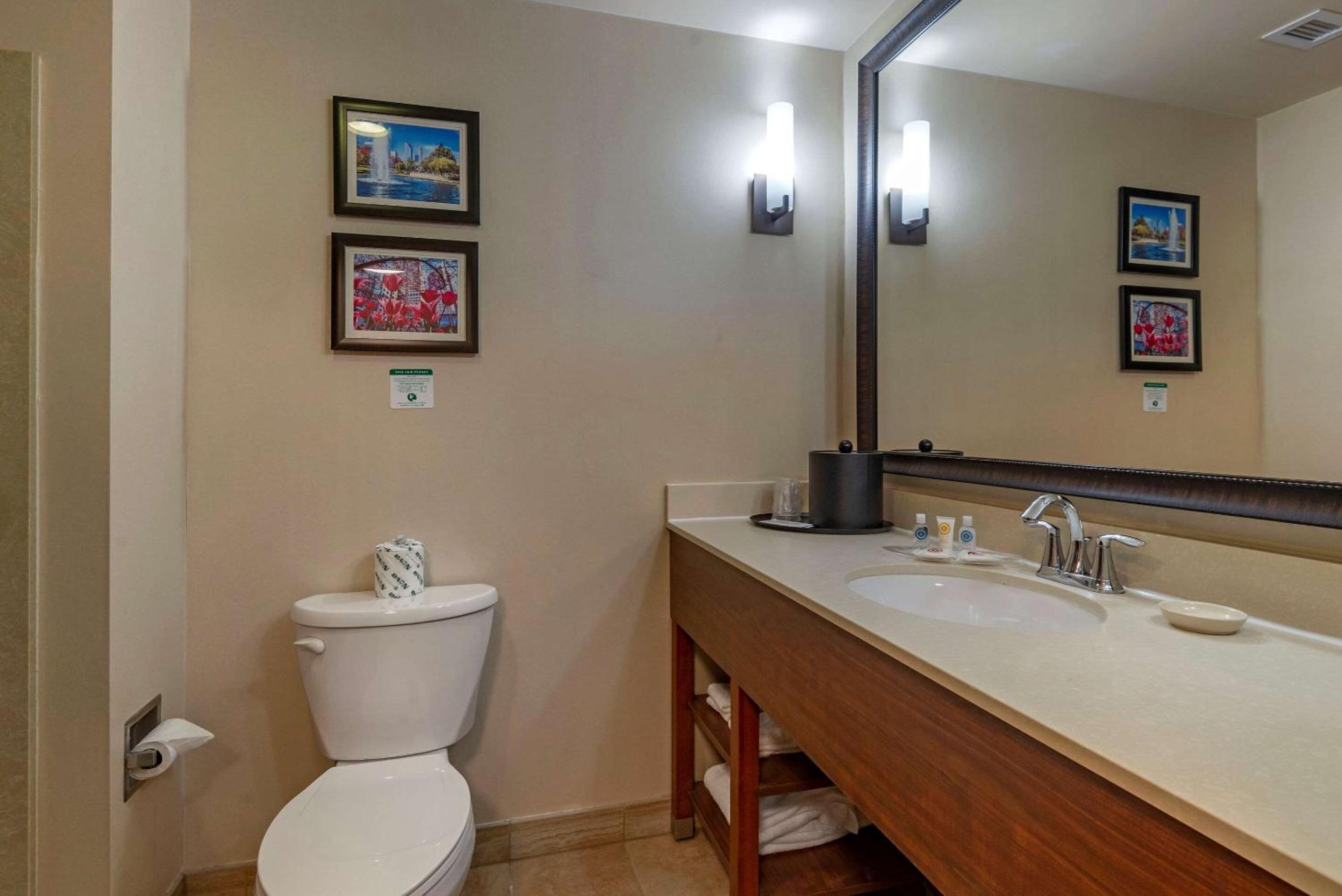 King Suite - Photo 8