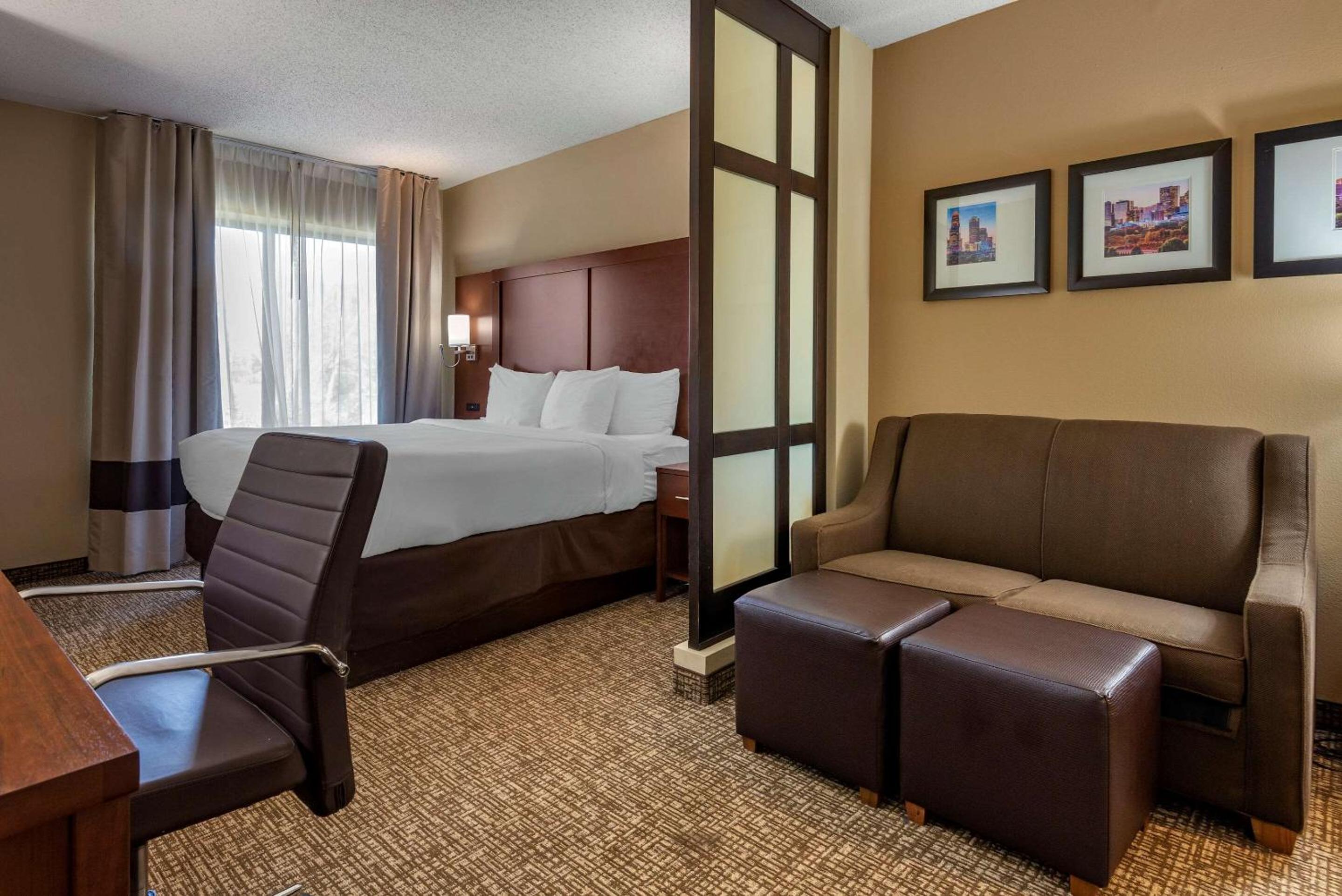 King Suite Large - Photo 4