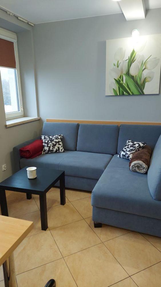 One-Bedroom Apartment (6 Adults) photo 1