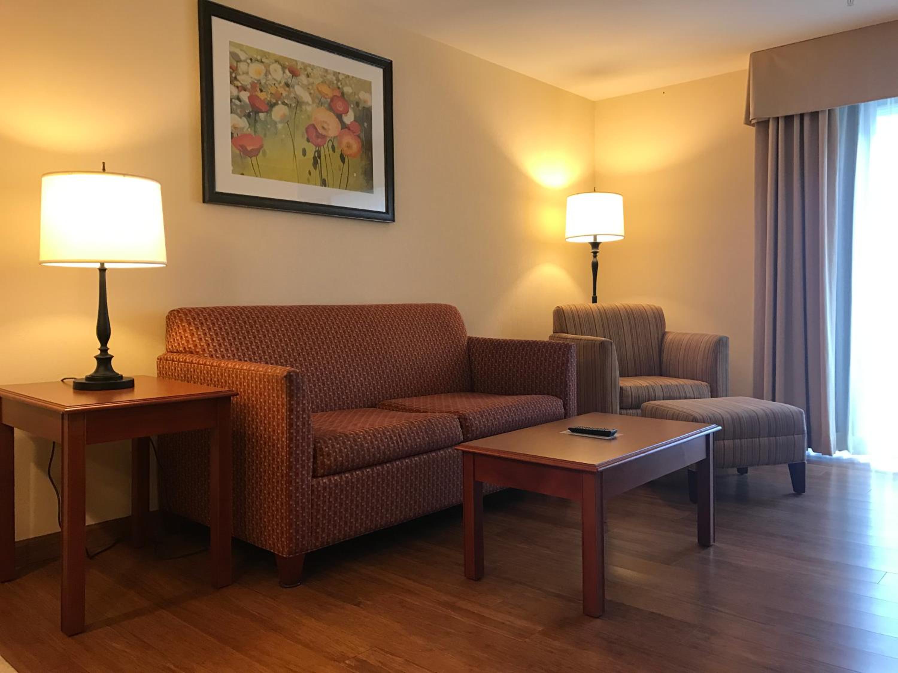Deluxe King Suite - Photo 3