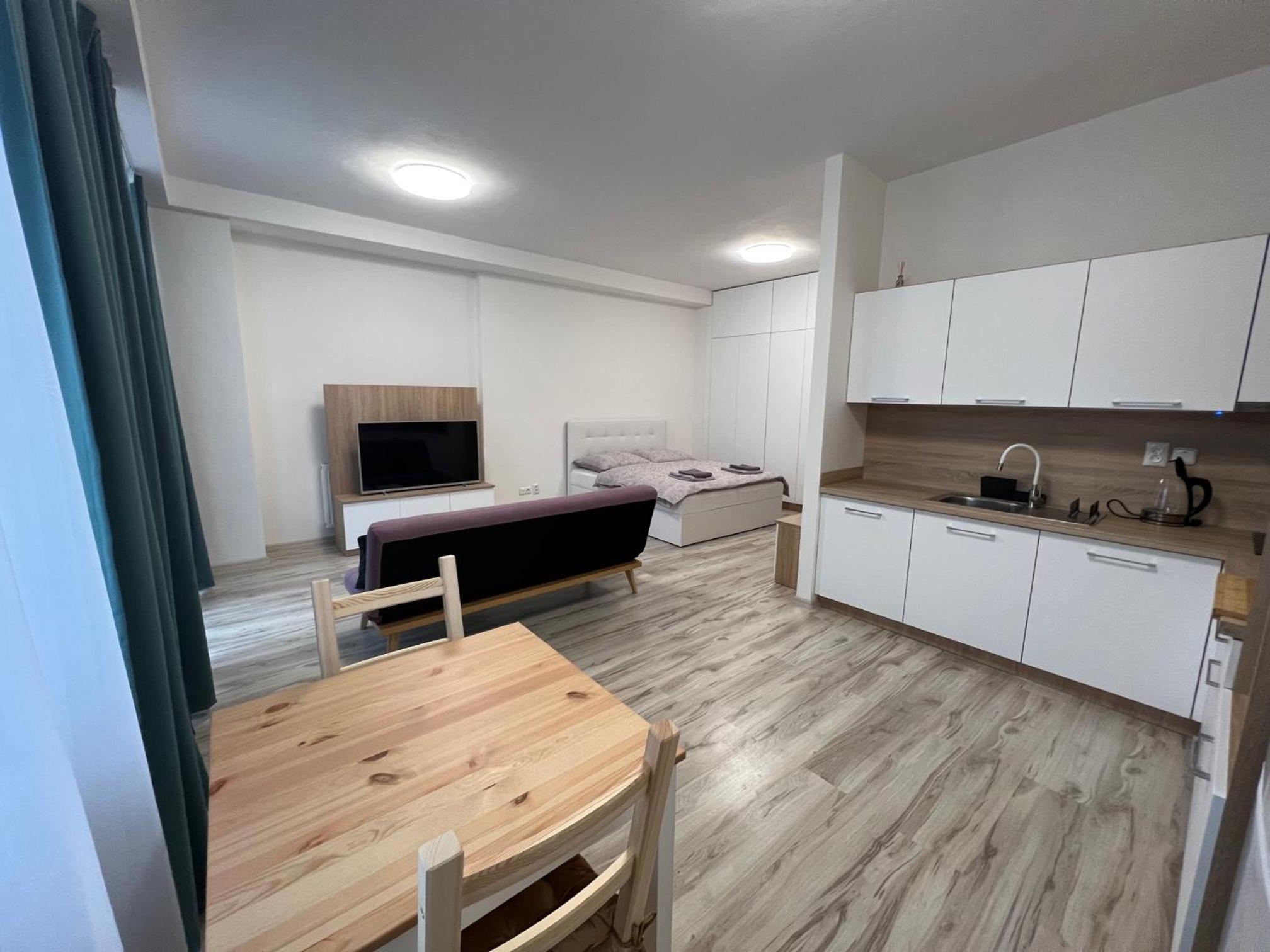 One-Bedroom Apartment photo 2