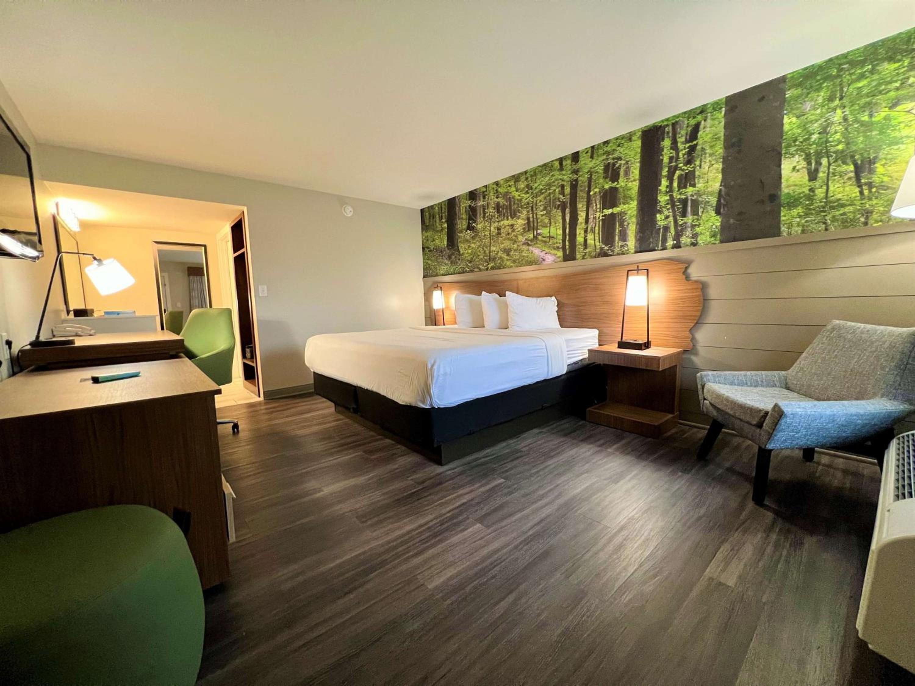 King Room with Roll-In Shower - Mobility Accessible photo 2