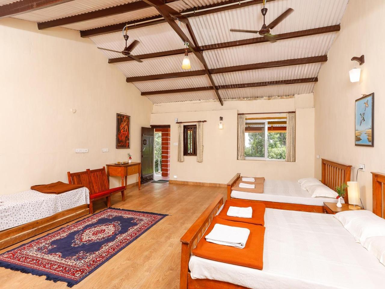 Quadruple Room - Photo 10