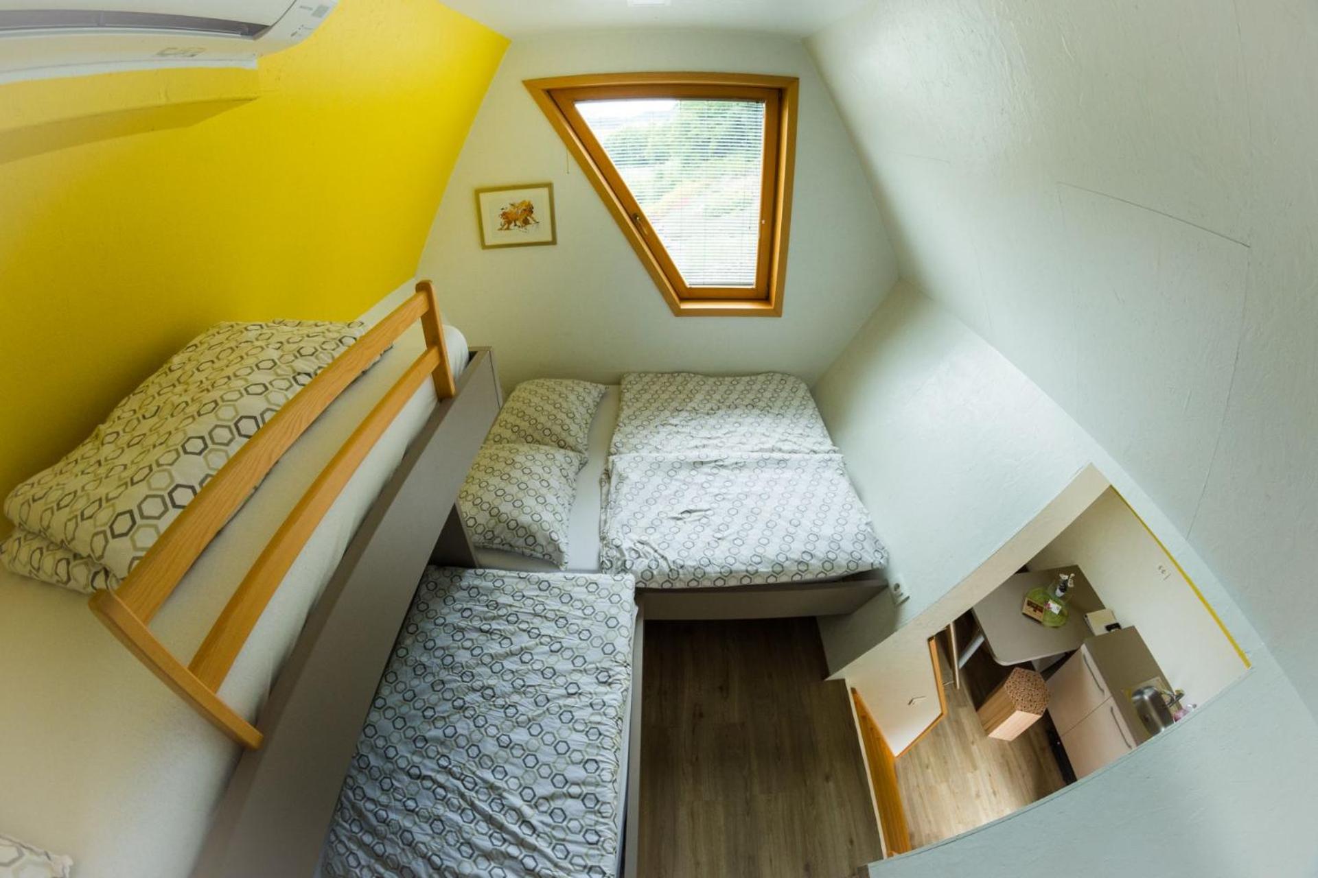 Apartment with Sauna photo 3