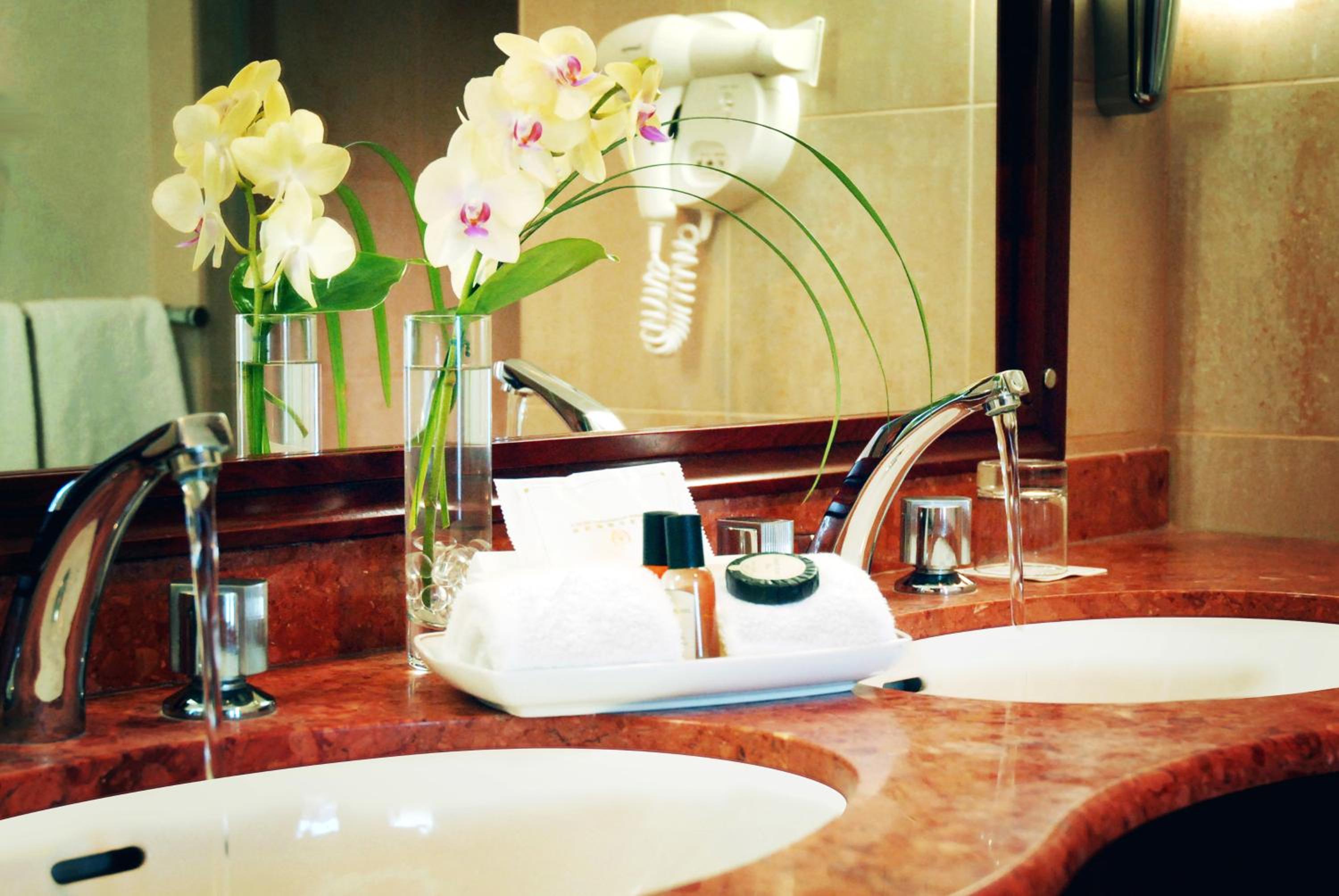 Deluxe Double or Twin Room - Photo 8