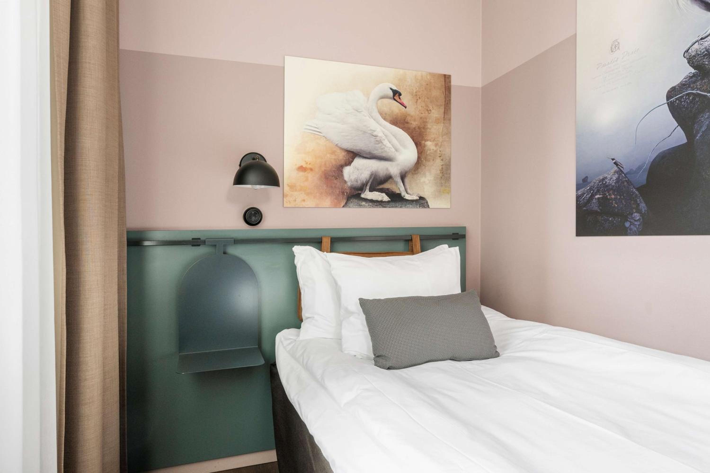 Standard Single Room - Photo 1