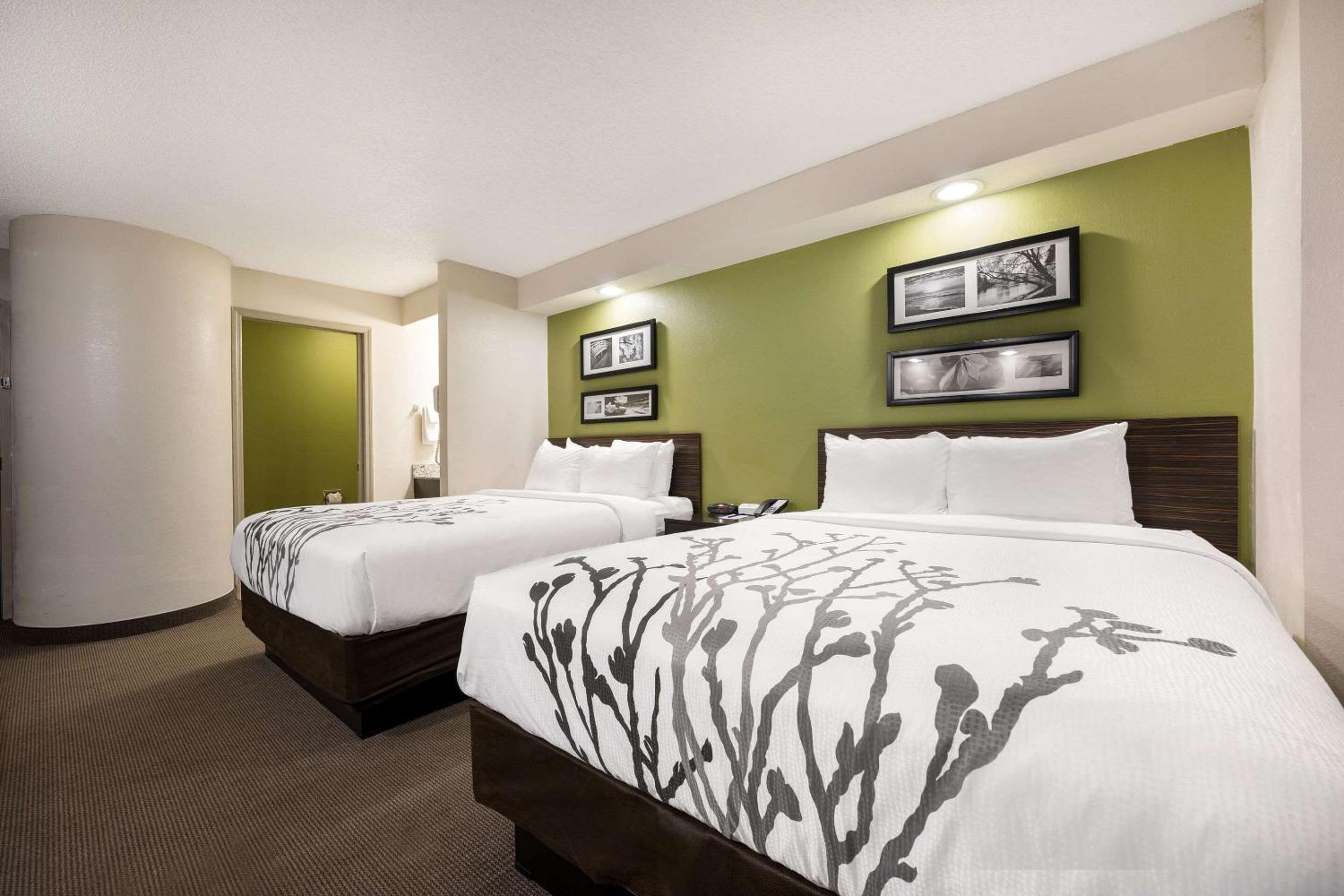 Queen Room with Two Queen Beds - Non-Smoking - Photo 1
