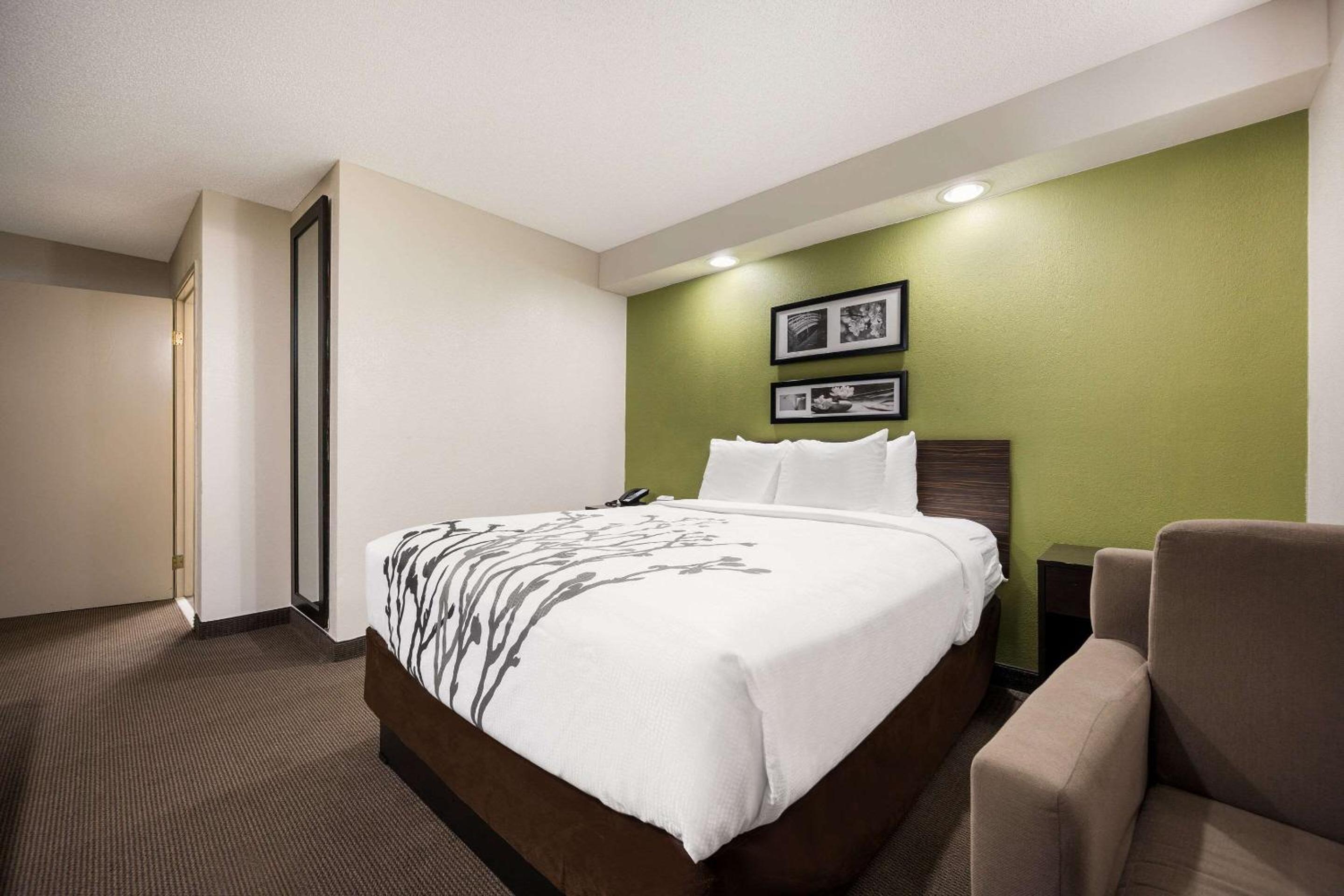 Queen Room - Disability Access/Non-Smoking - Photo 1