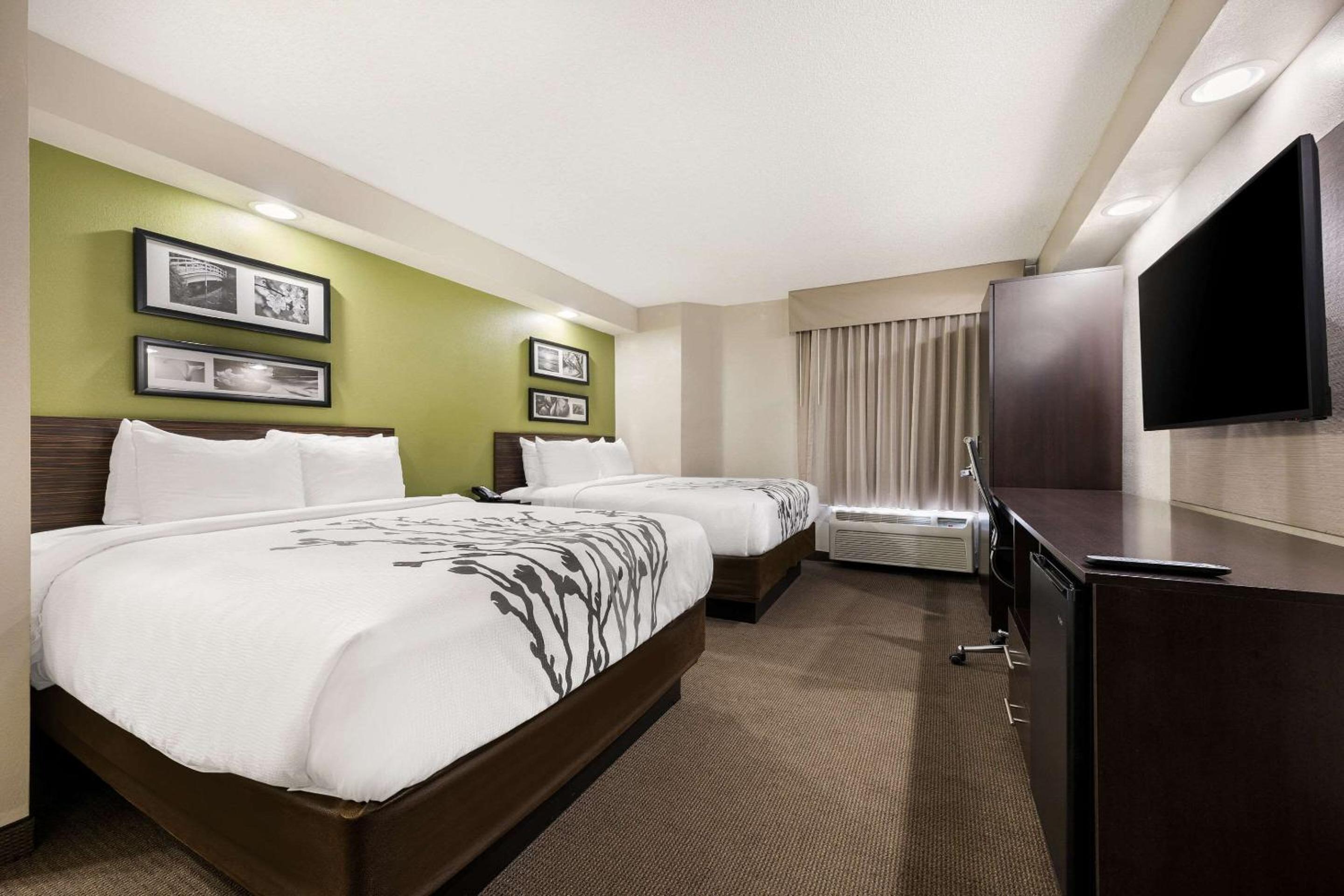 Queen Room with Two Queen Beds - Non-Smoking - Photo 4