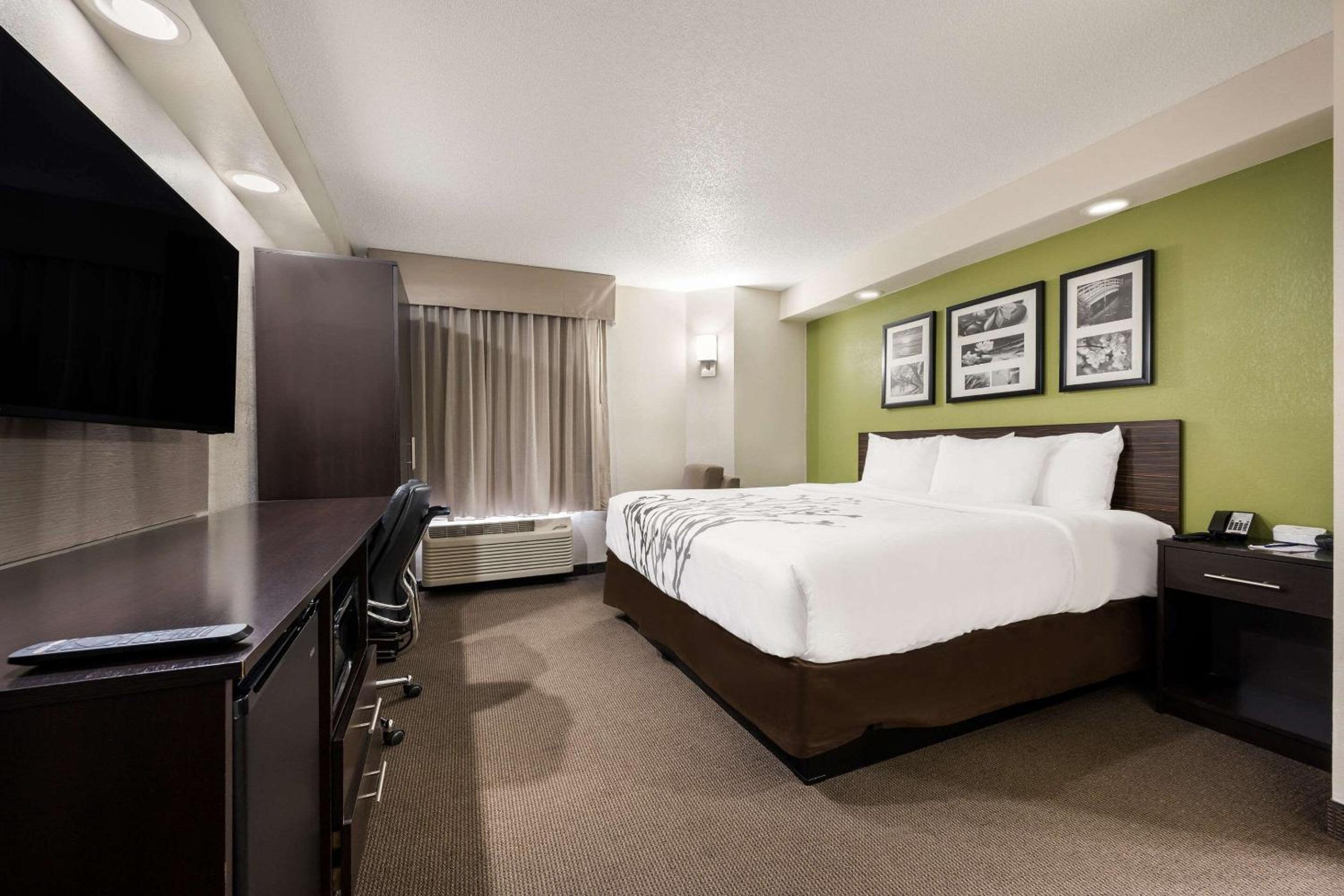 King Room - Non-Smoking - Photo 5