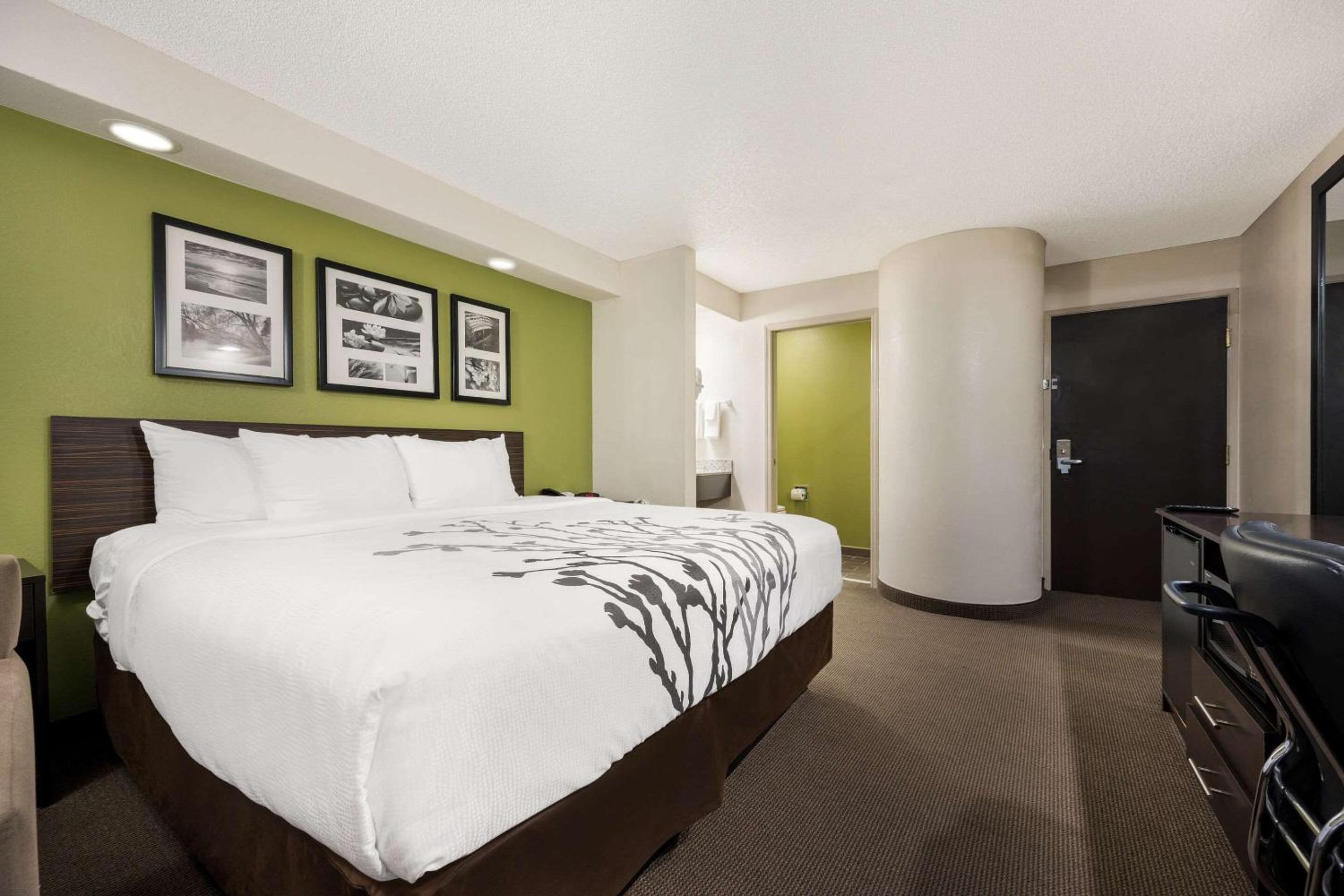 King Room - Non-Smoking - Photo 2