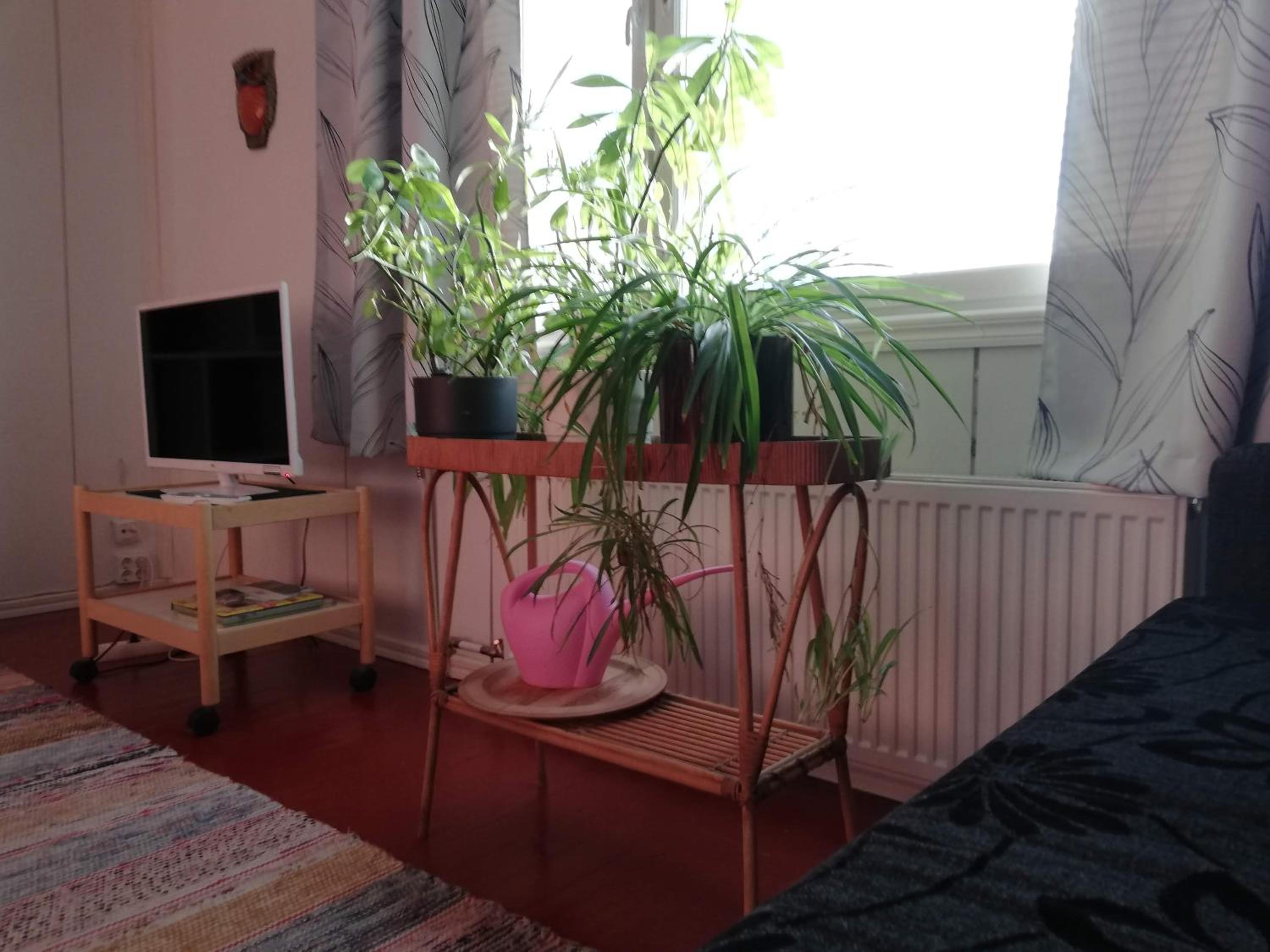 Studio Apartment - Photo 3