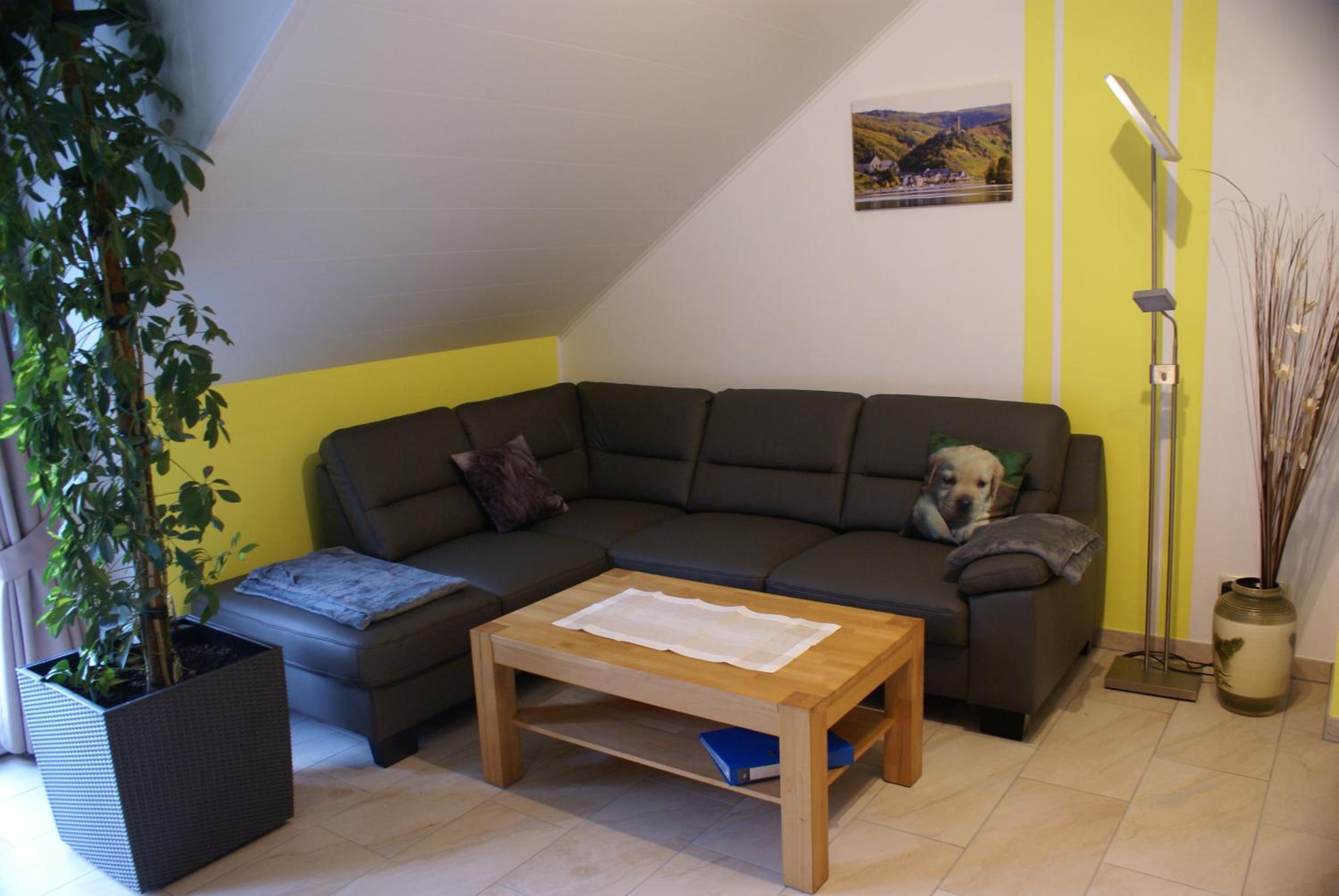 Studio Apartment photo 1