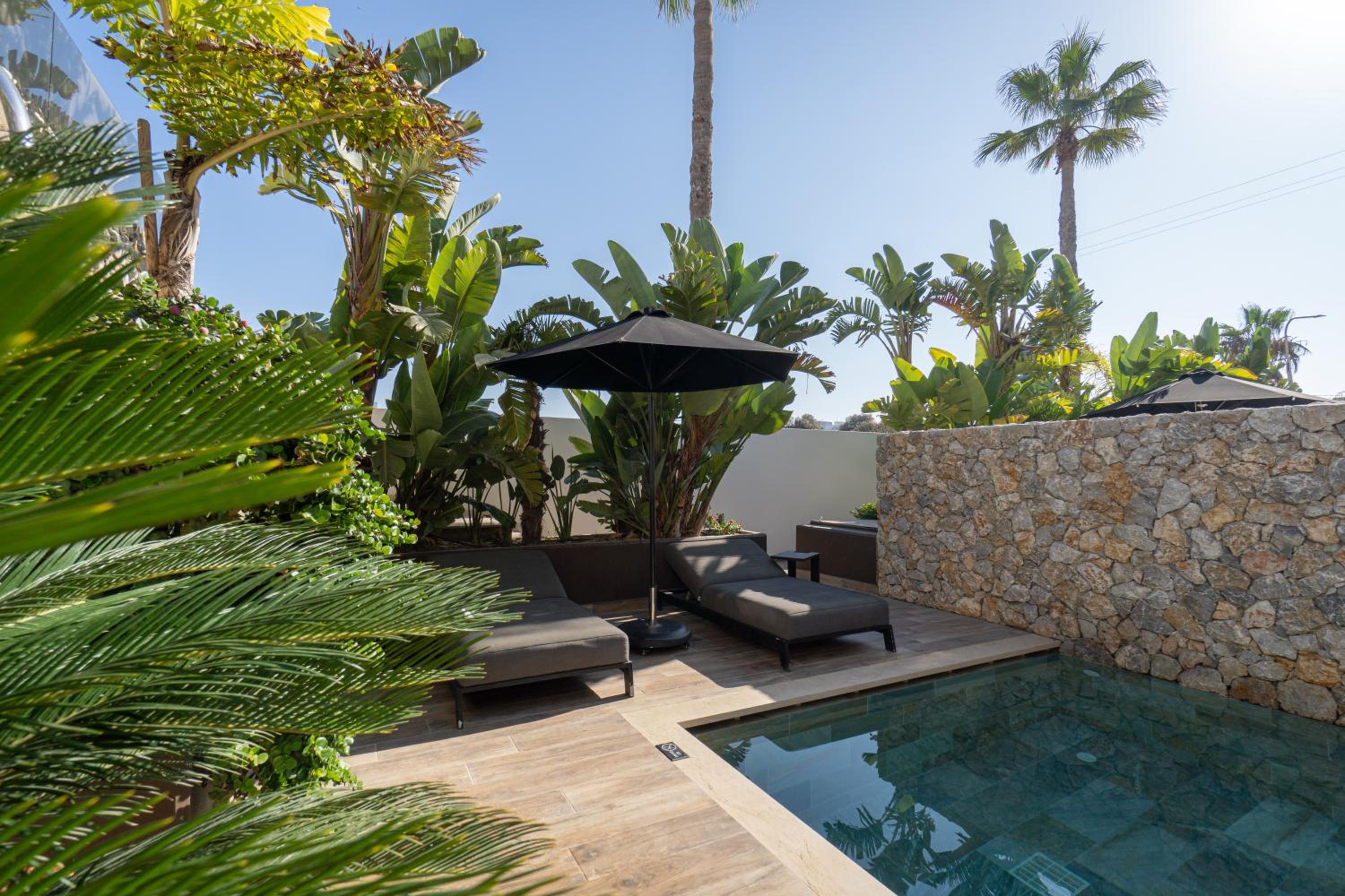 Design Suite with Private Pool photo 3