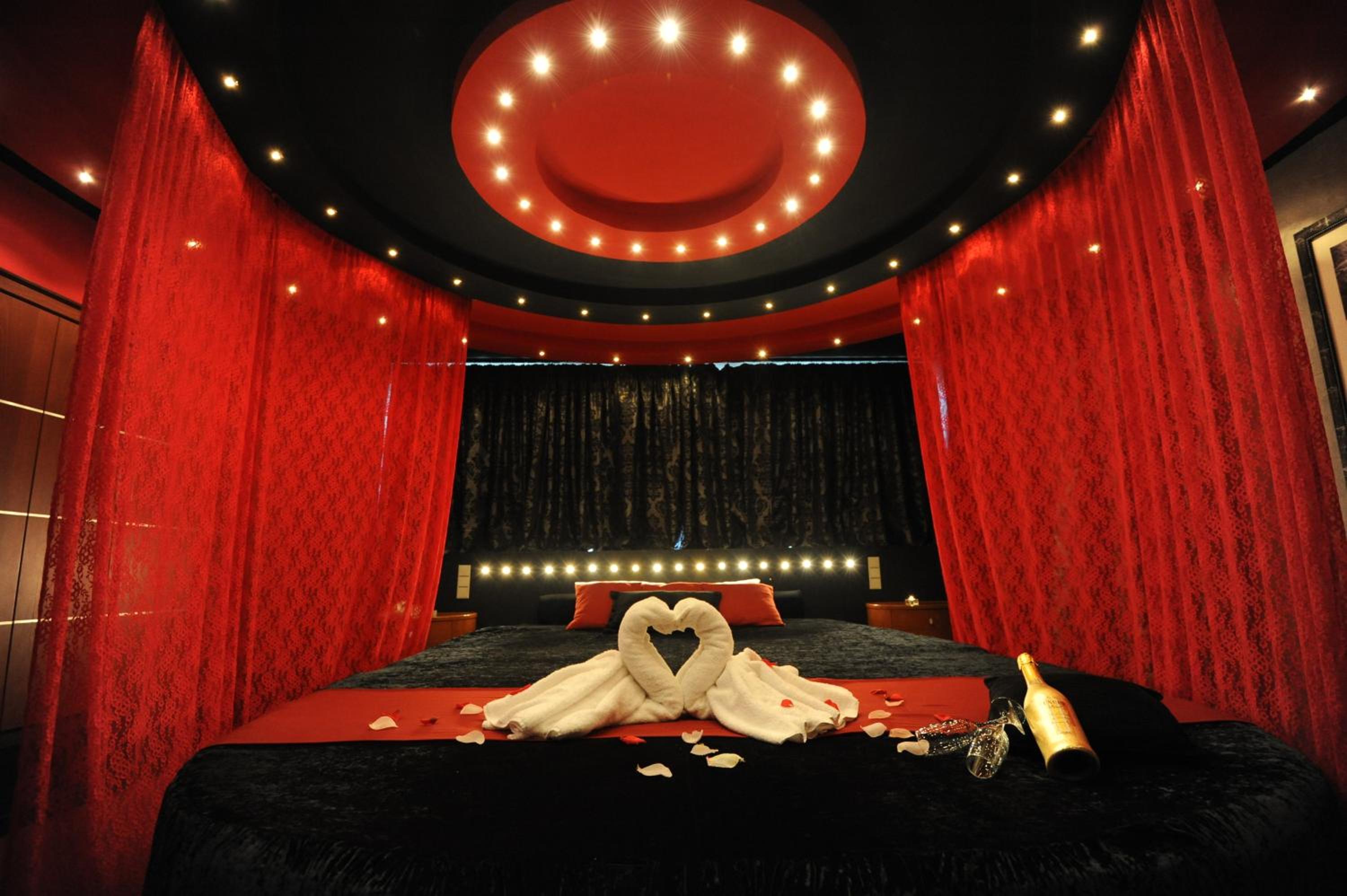 Suite - Photo 1