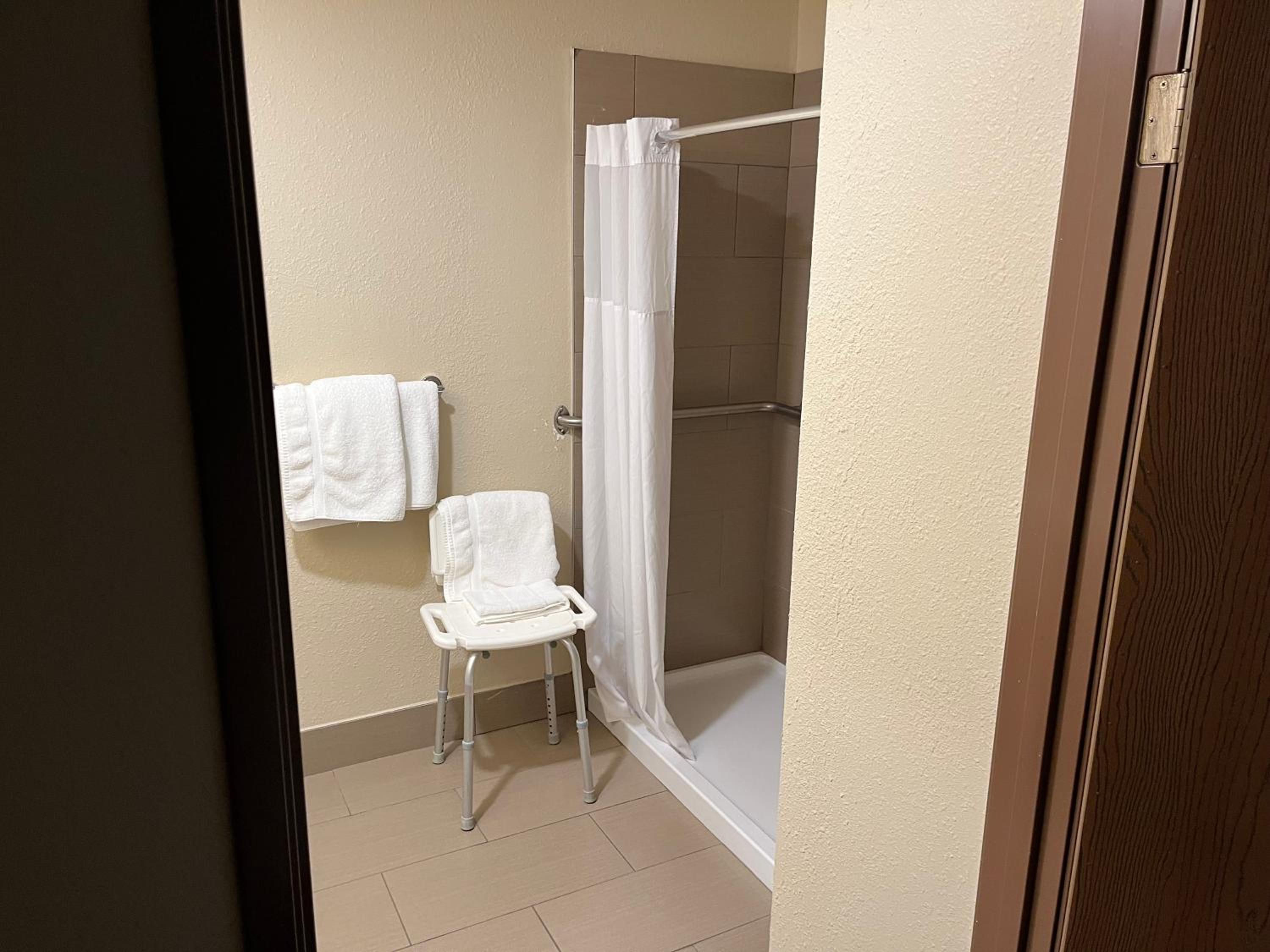 Queen Room with Roll-In Shower - Mobility Accessible/Non-Smoking - Photo 4