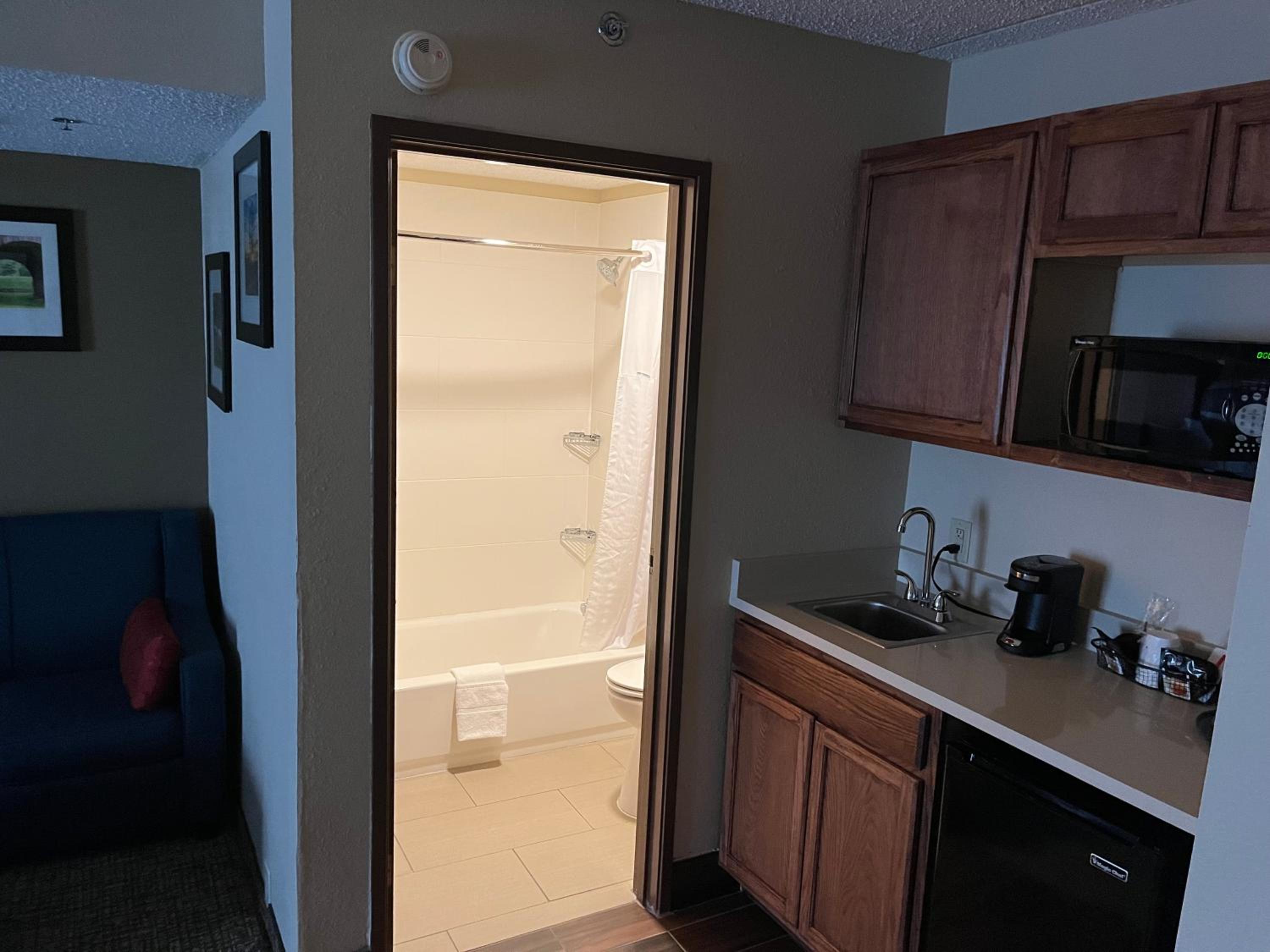 Deluxe King Studio Suite - Non-Smoking - Photo 2