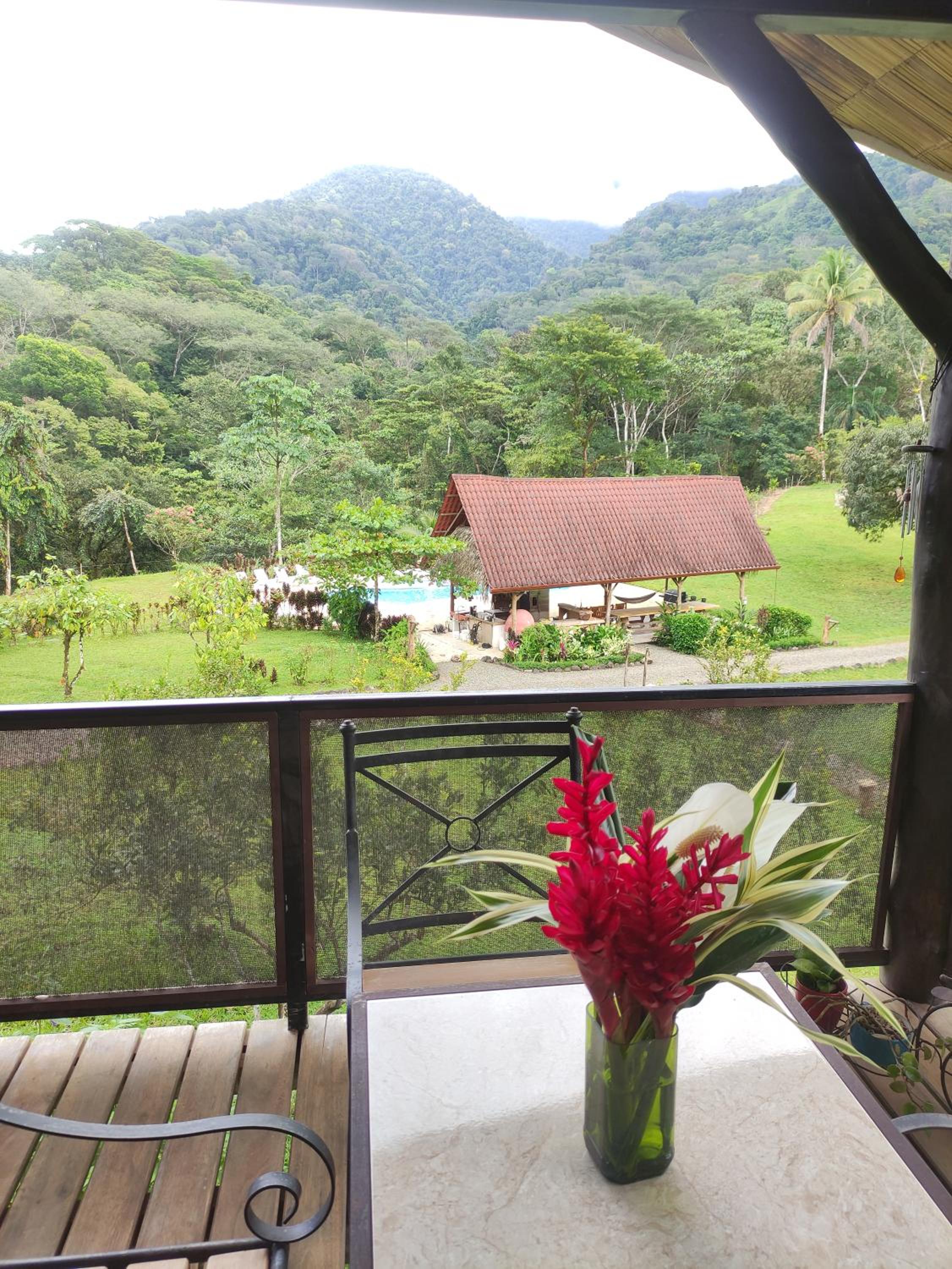 One-Bedroom Bungalow photo 3