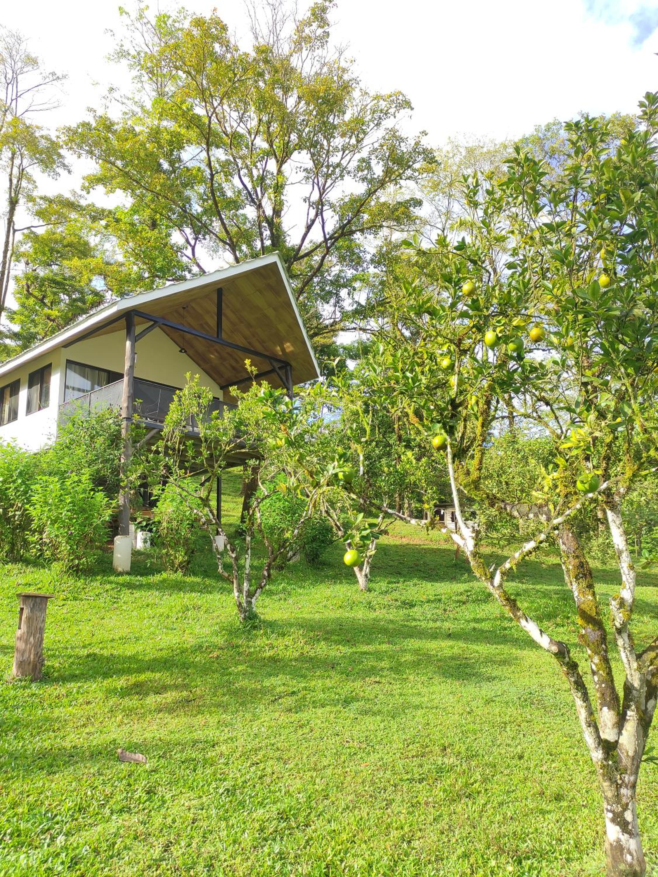 One-Bedroom Bungalow photo 2