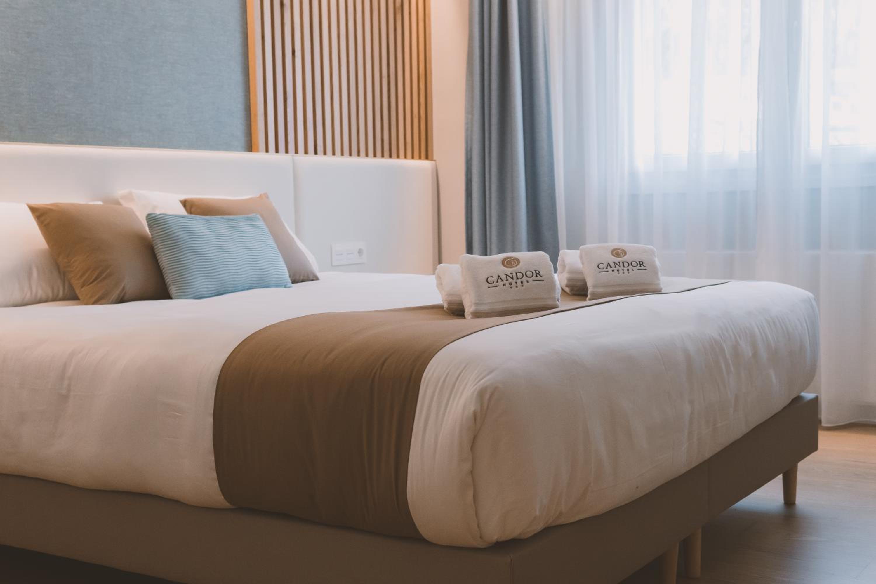 Superior Double or Twin Room with Mountain View - Photo 1