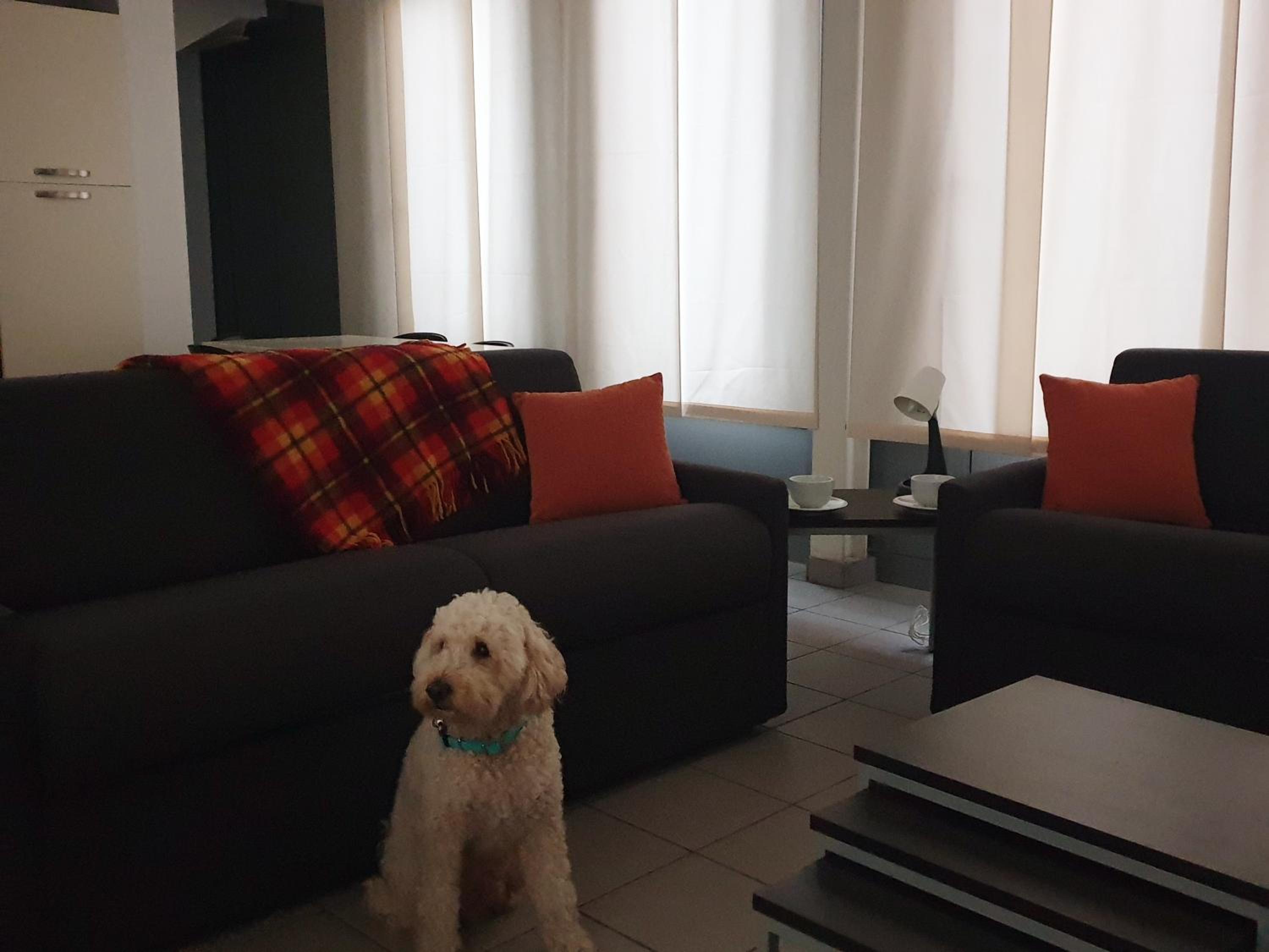 One-Bedroom Apartment - Photo 22