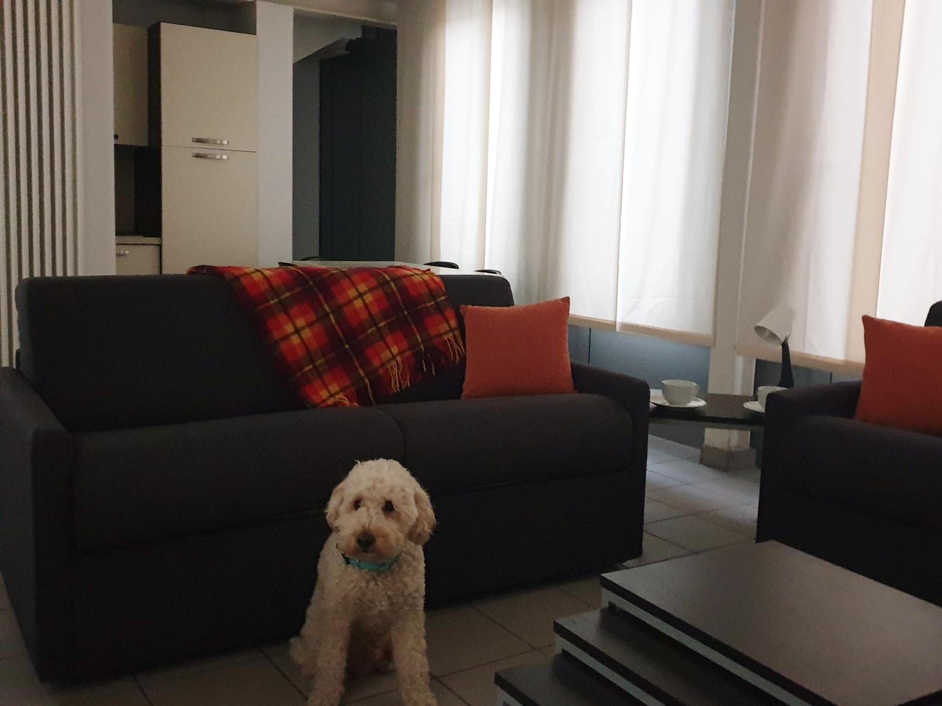 One-Bedroom Apartment - Photo 27
