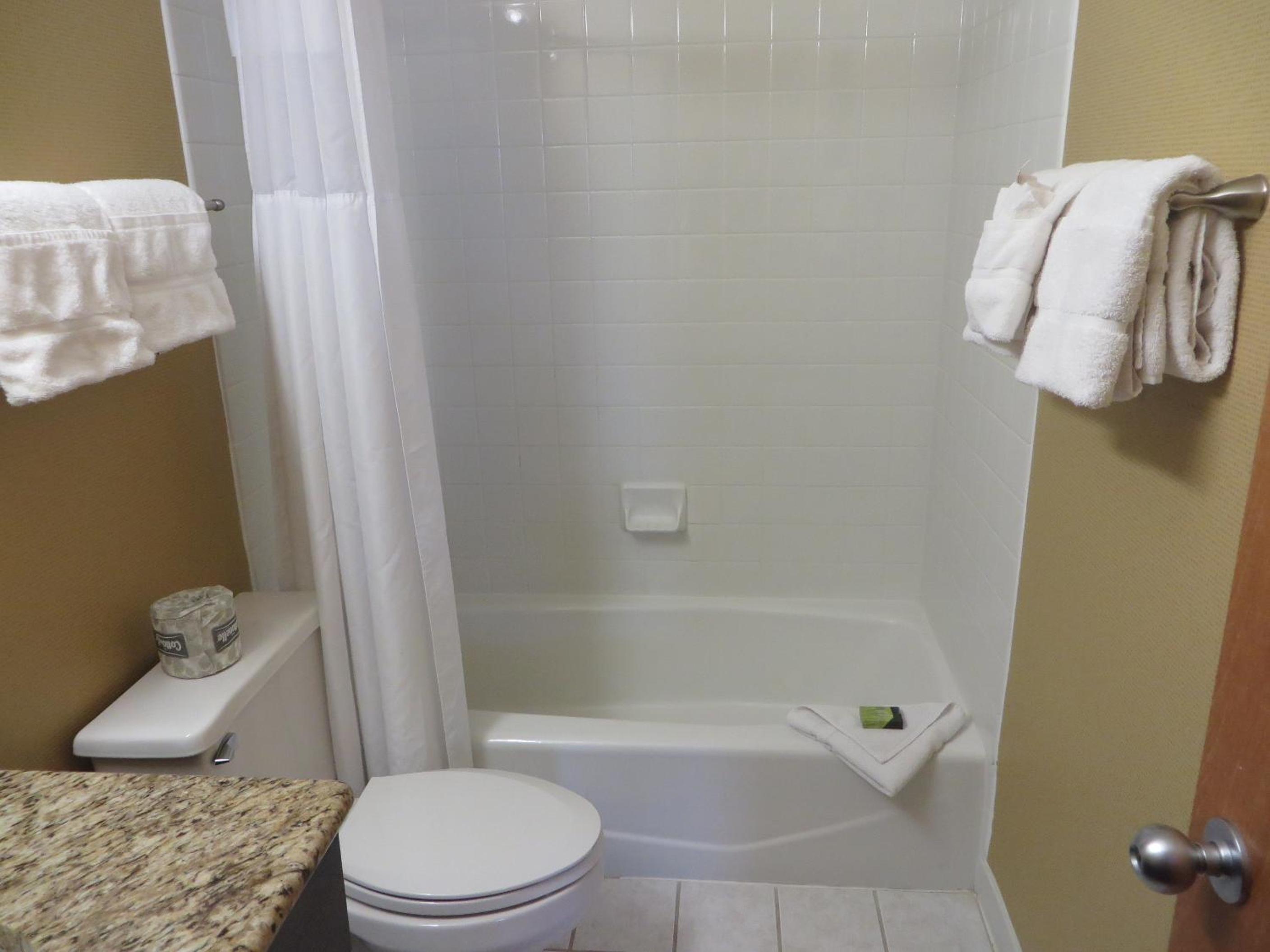 Double Suite - Photo 15