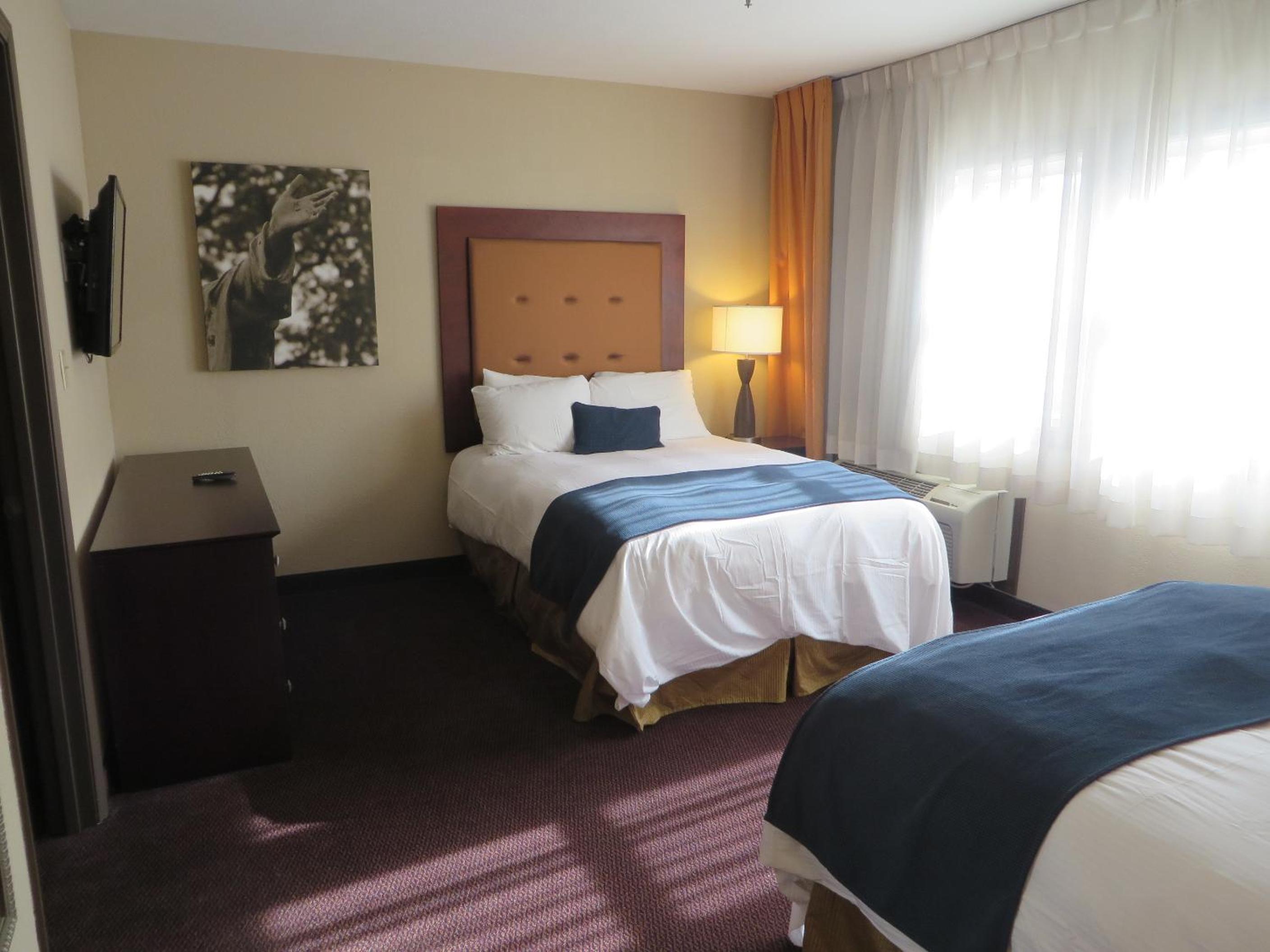 Double Suite - Photo 7