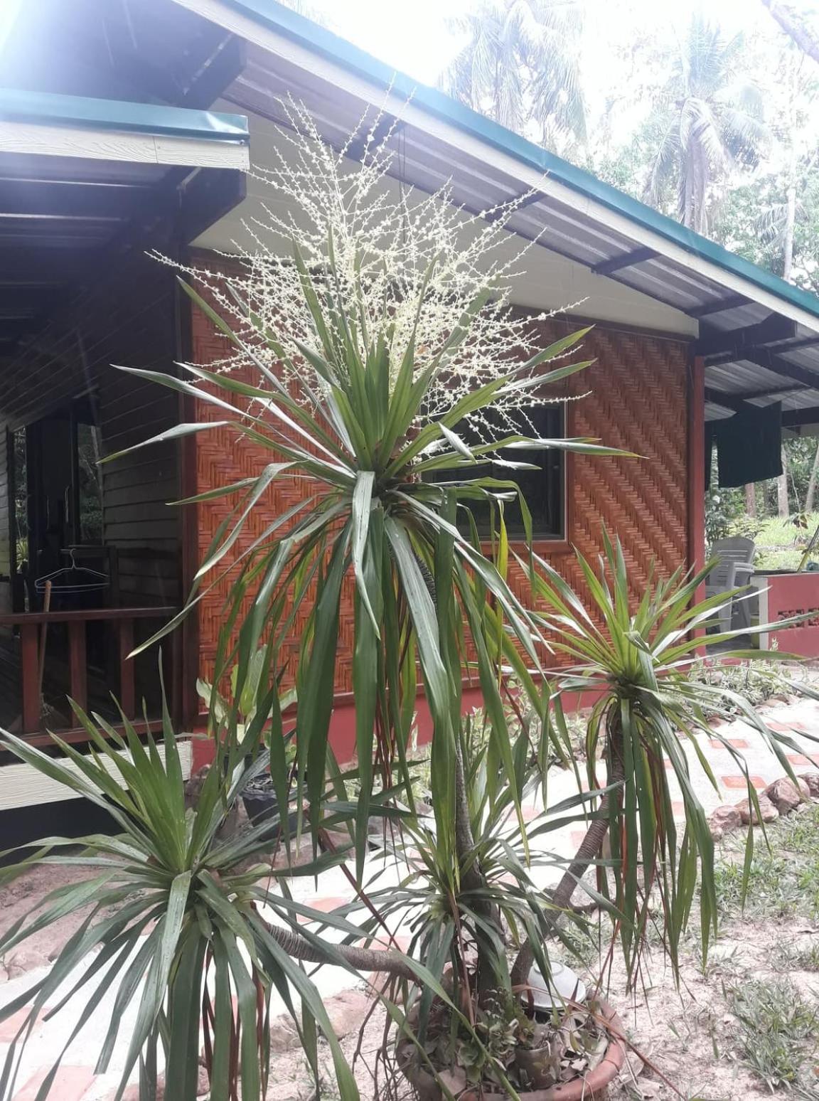 Double Room With Garden View photo 2
