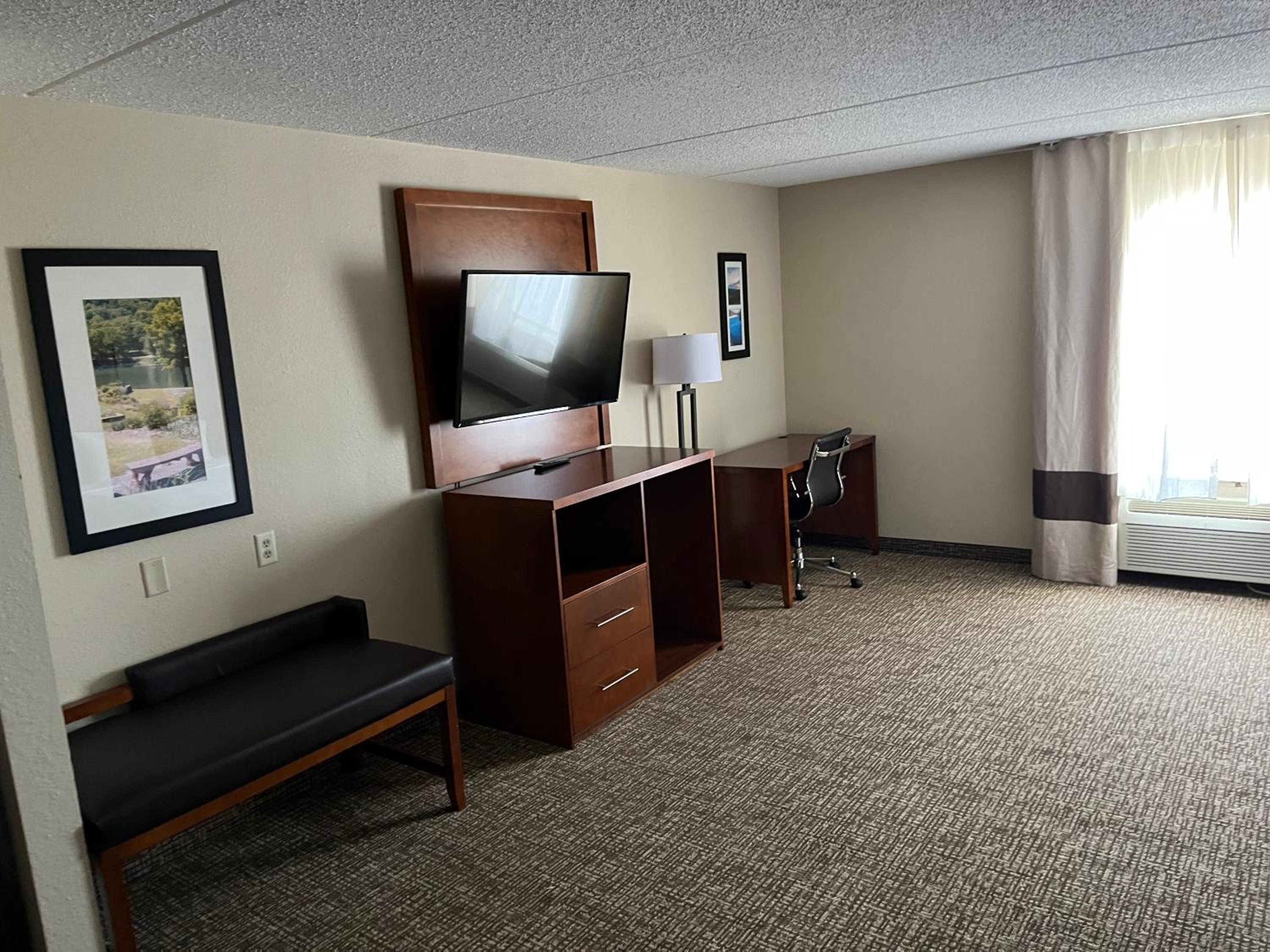 Deluxe King Studio Suite - Non-Smoking - Photo 4
