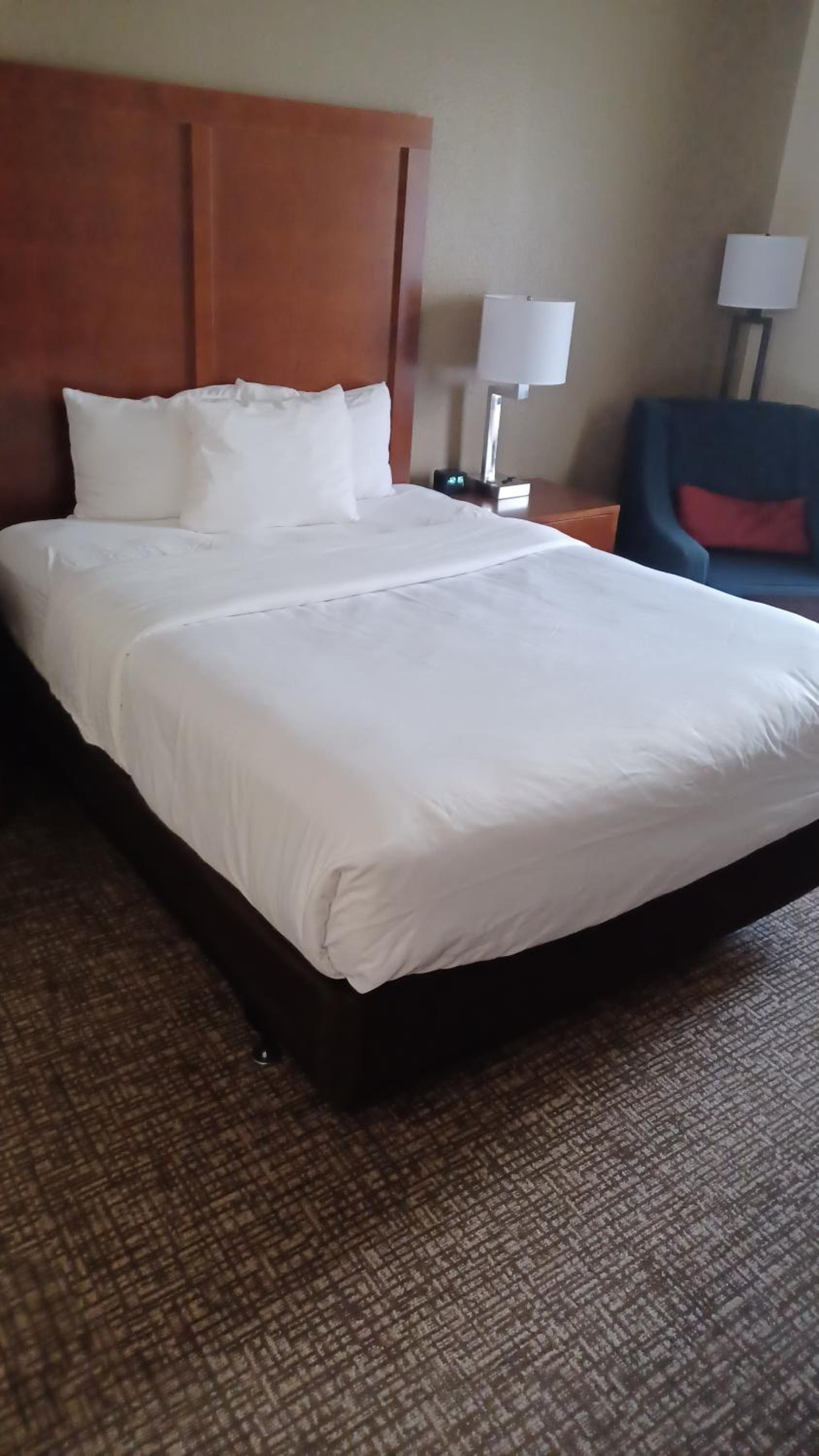 1 Queen Bed, Mobility and Hearing Accessible Room, Roll-In Shower, Non-Smoking - Photo 4