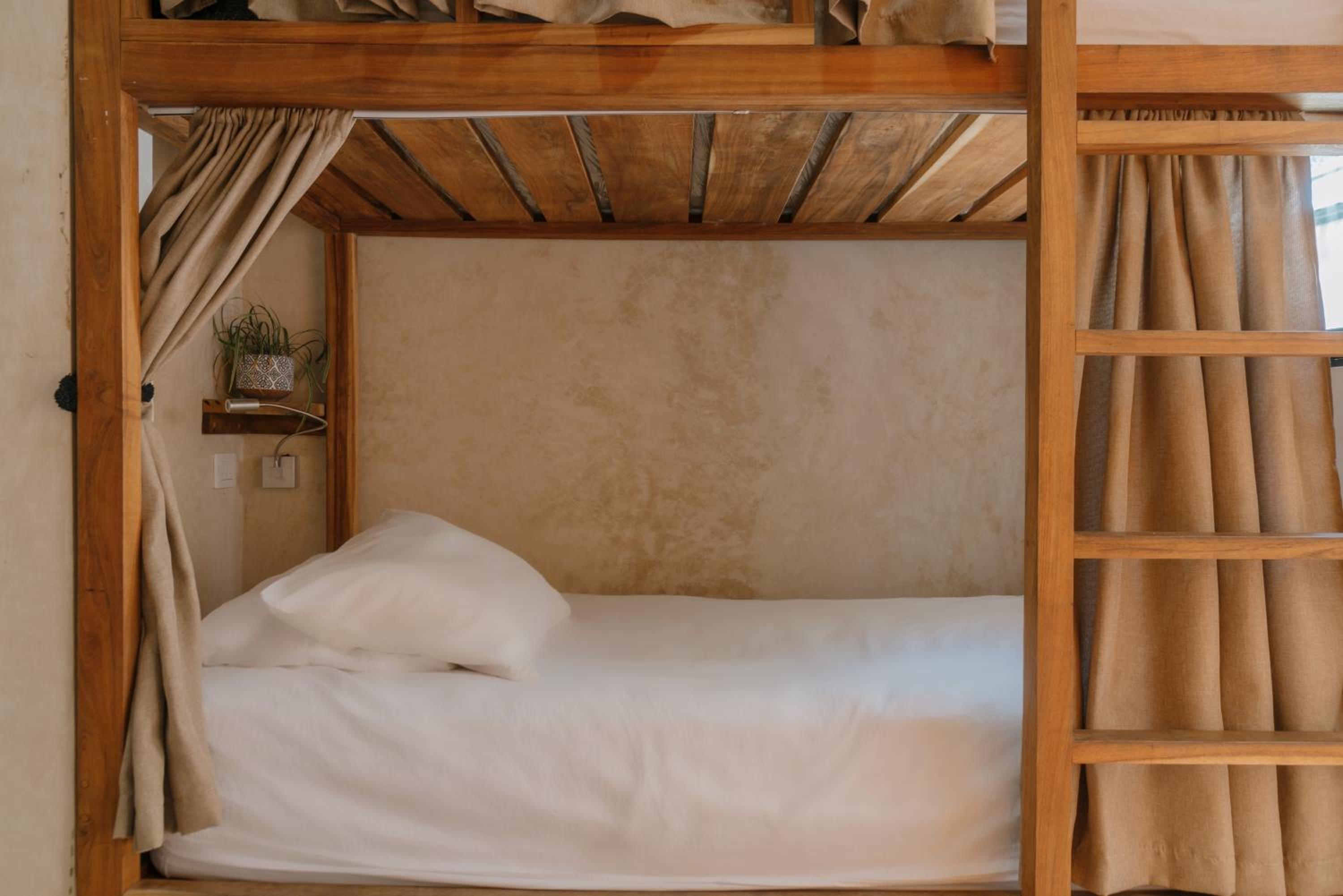 Single Bed in Female Dormitory Room photo 1