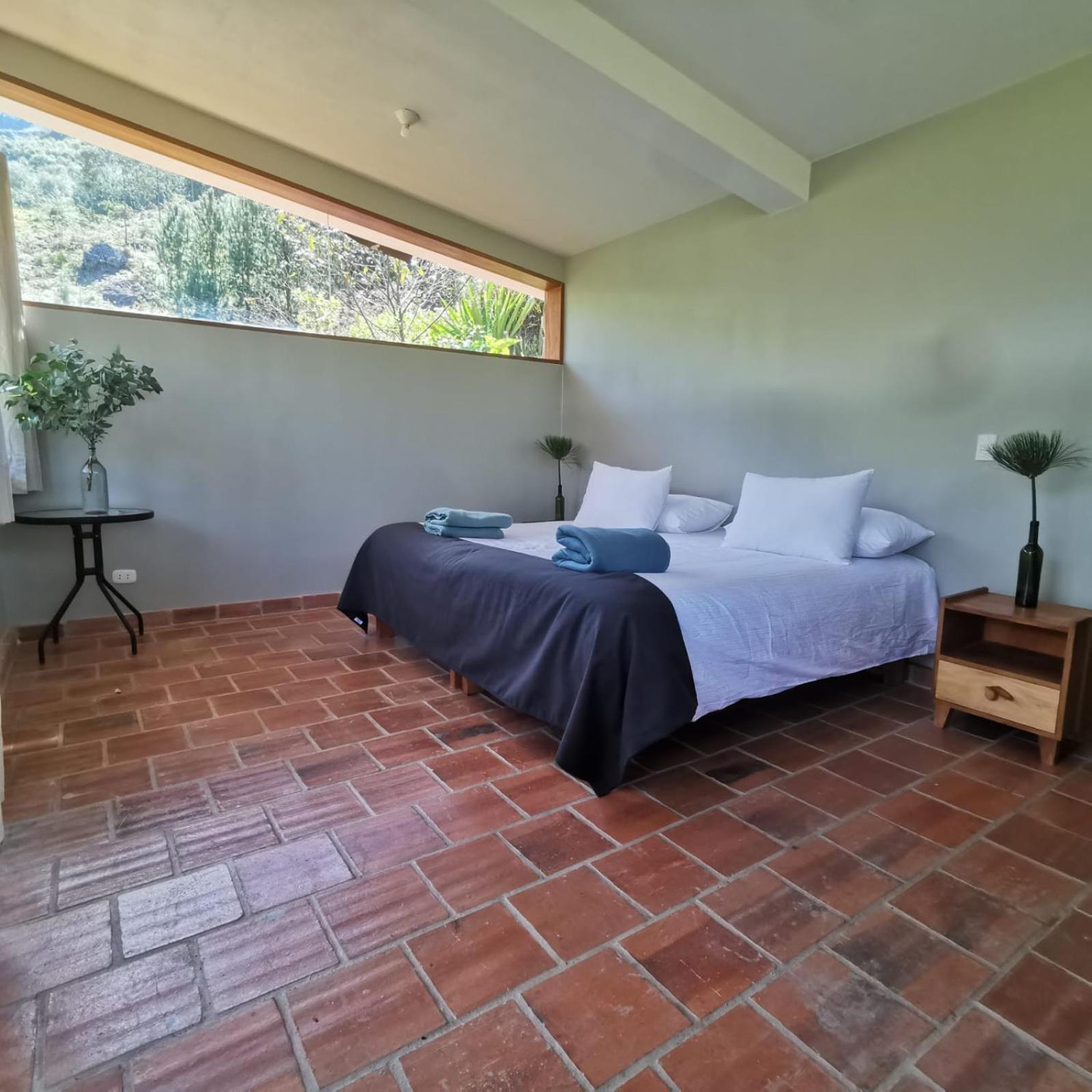 Superior Double or Twin Room with Terrace