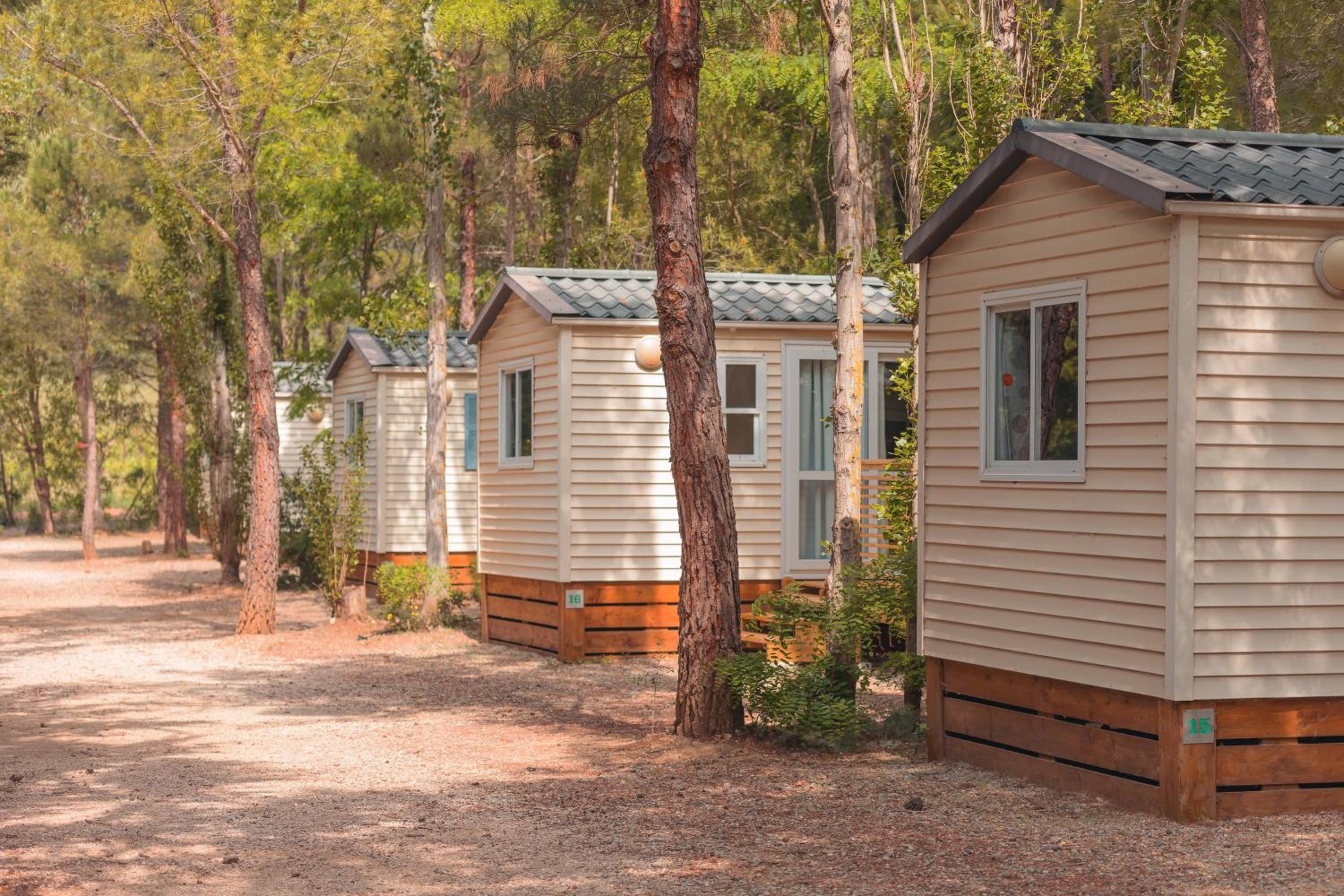 Mobile Home photo 1