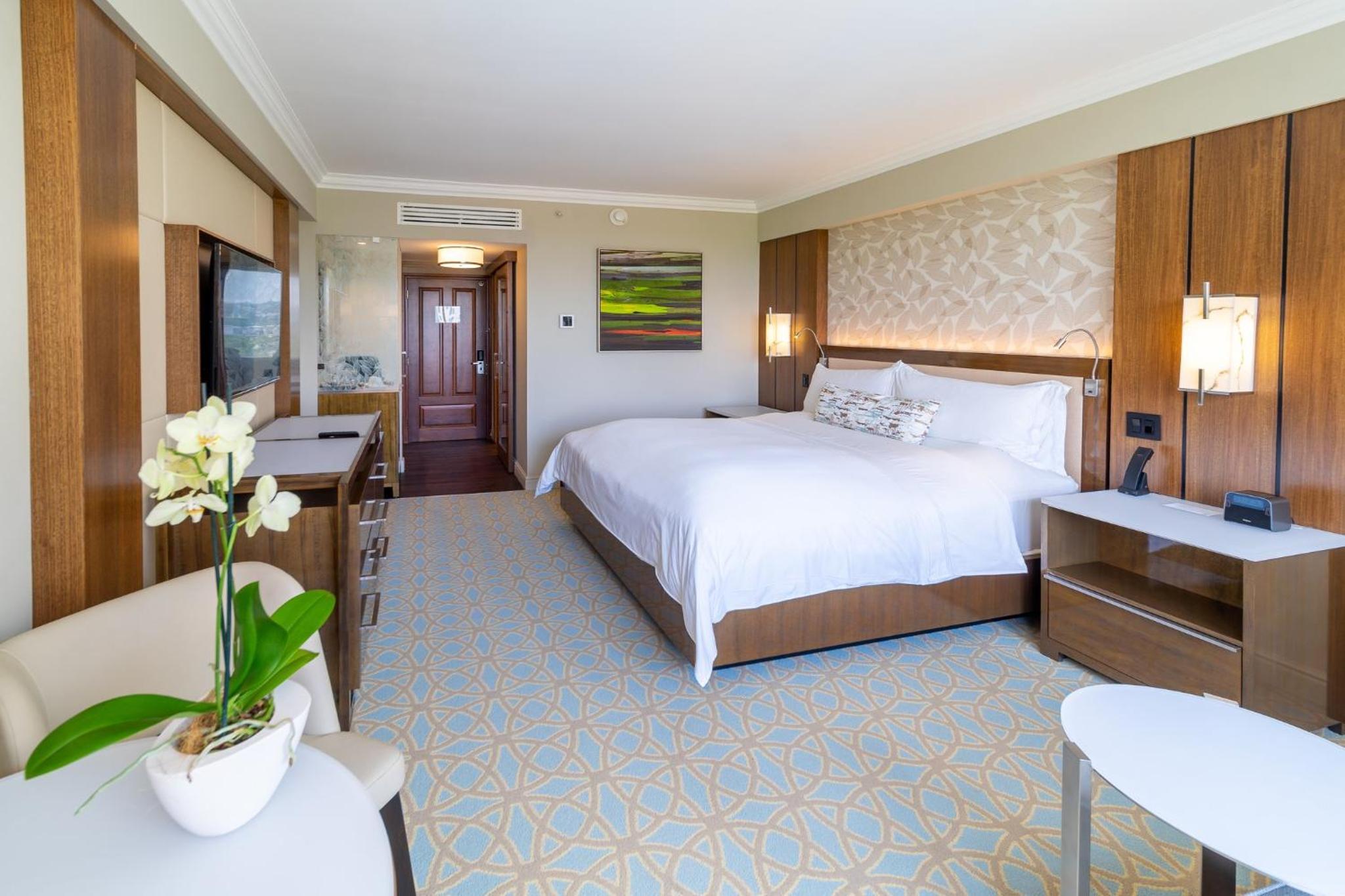 Classic King Room with Pool View - Photo 8