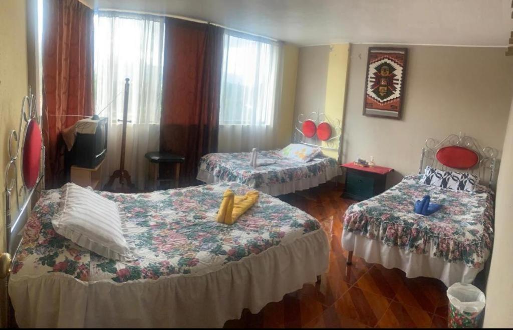 Basic Triple Room with Shared Bathroom