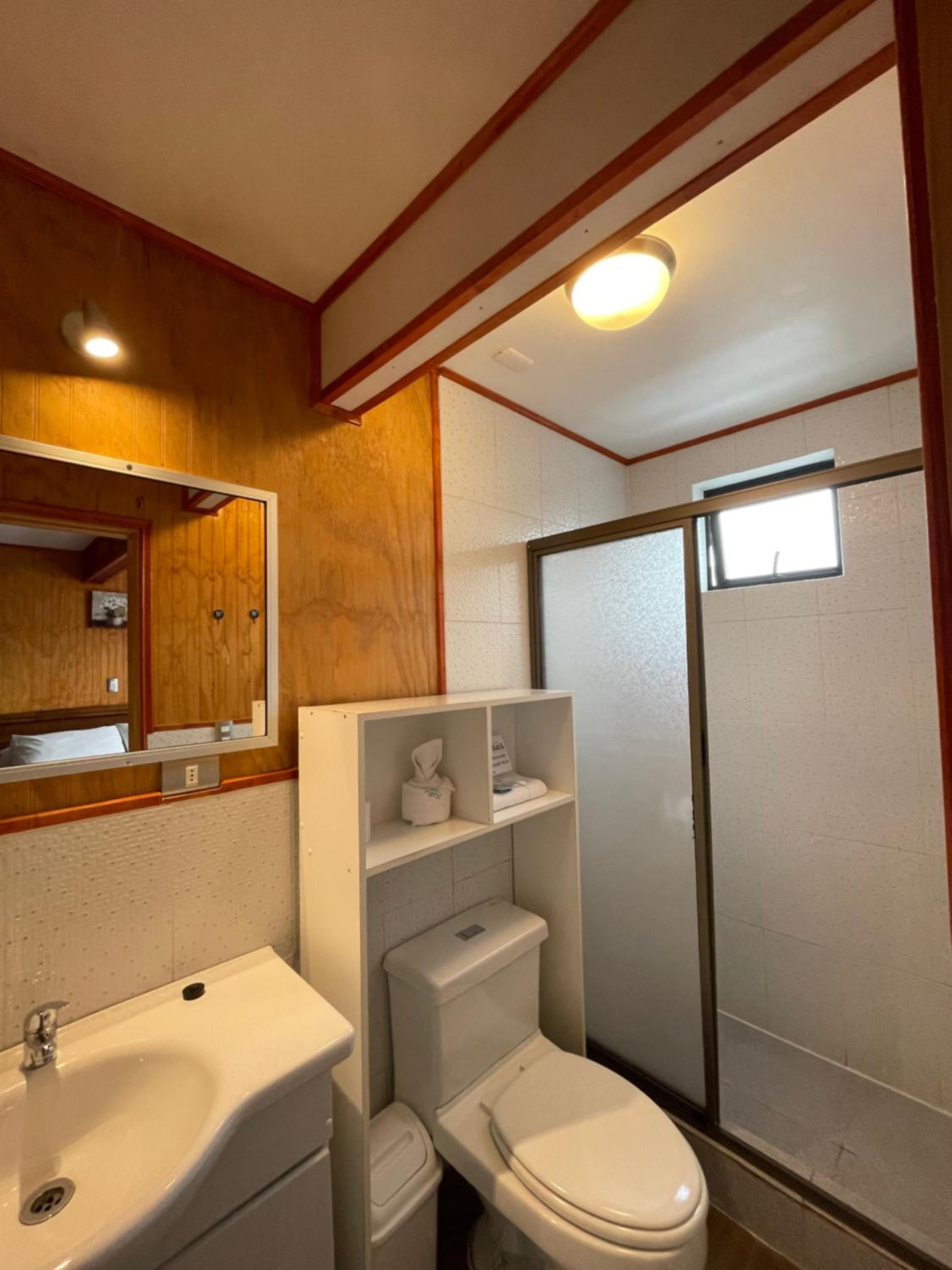 Twin Room photo 3
